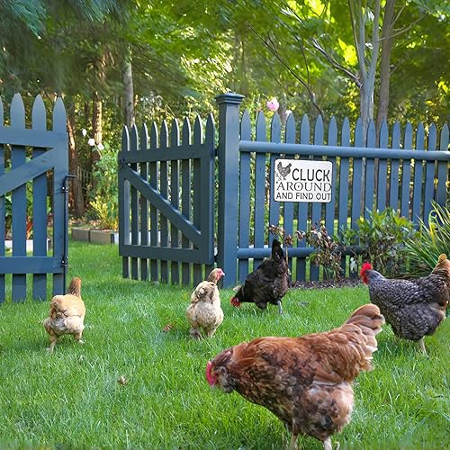 Miniatura 6 de Funny Chicken Gifts - Letrero de lata de pollo para el hogar, granja, gallinero, granja, cocina, jardín, decoración de 8 x 12 pulgadas (3021)