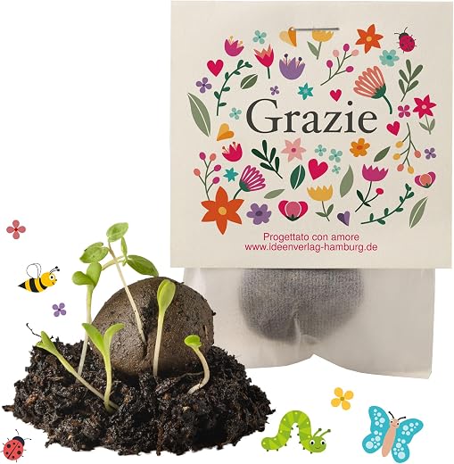 10x "Grazie" bombe di semi – regalino e piccolo omaggio - bombe di fiori come regalo di ringraziamento per colleghi, ospiti & bambini - semi di fiori & sfere di fiori come dono di ringraziamento