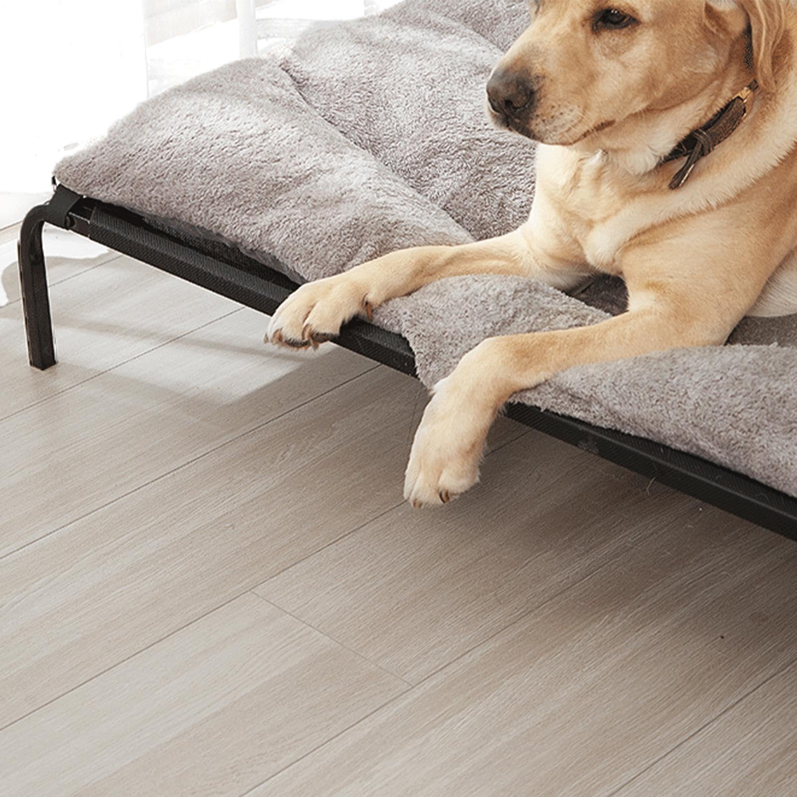 Cama Elevada Para Perros Cueva Transpirable de Tamaño Viaje | Camas Resistentes De Pesado Para Mascotas Apta para Acampada al Aire Libre, Interior, Clima Caluroso, Viajes, Perros