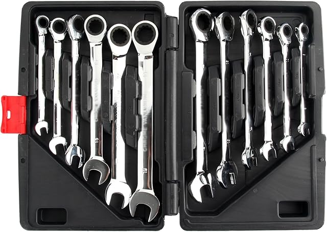 AllRight 12 Pcs Ratchet Spanner Set 8-19mm Ring Ratchet Spanner Fixed Head Combination Wrench Set with Storage Box for Home DIY Beginner Auto Mechanics