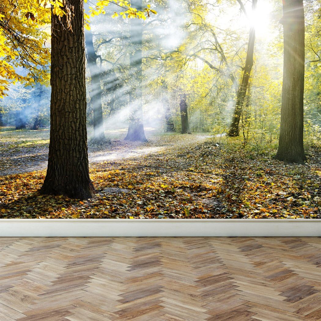 RoyalWallSkins Wall Mural Sunlight in The Park, Peel and Stick Repositionable Fabric Wallpaper for Interior Home Decor (70"w x 51"h, WMYJH150320)
