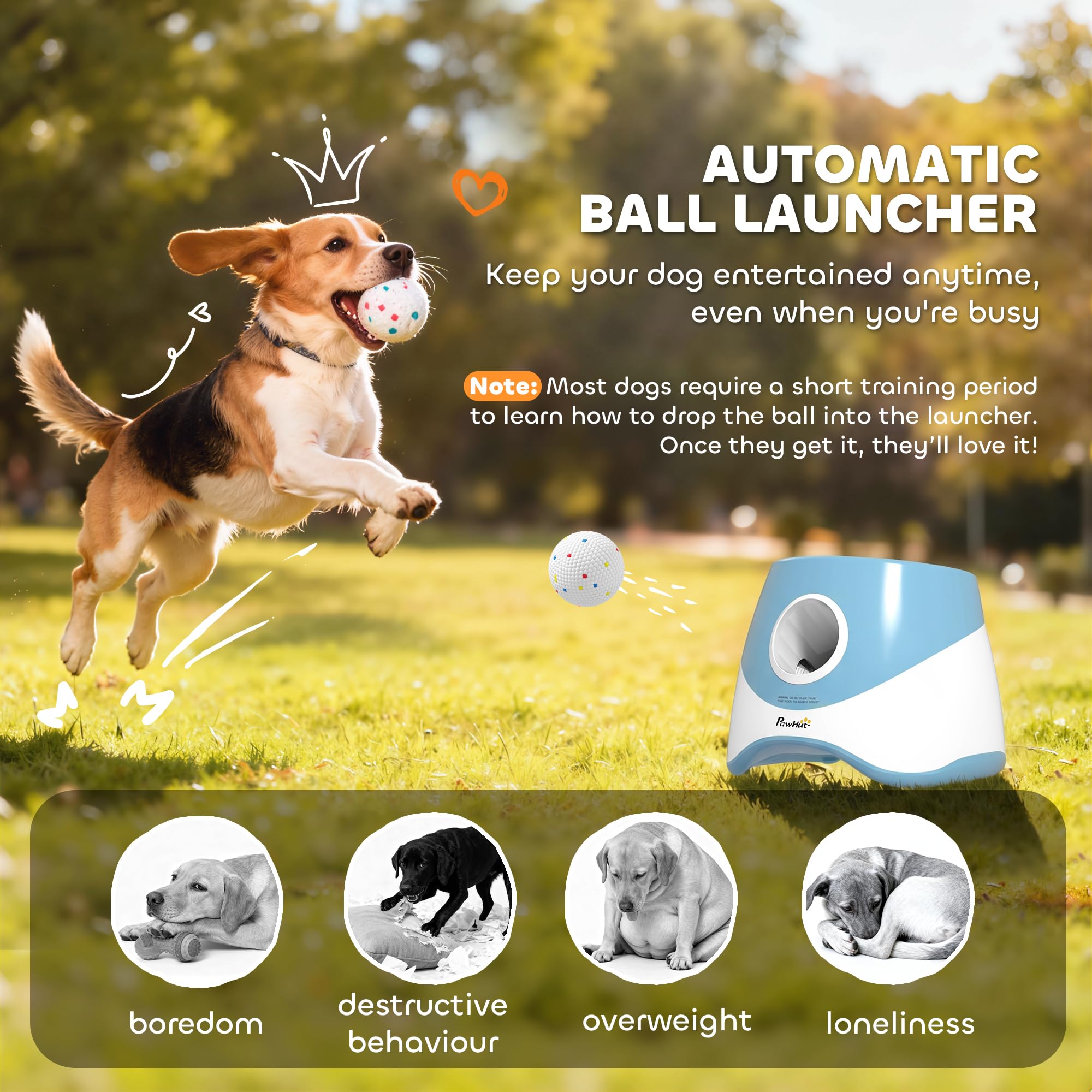 PawHut Lanceur de Balle Automatique pour Chiens Moyens Bleu