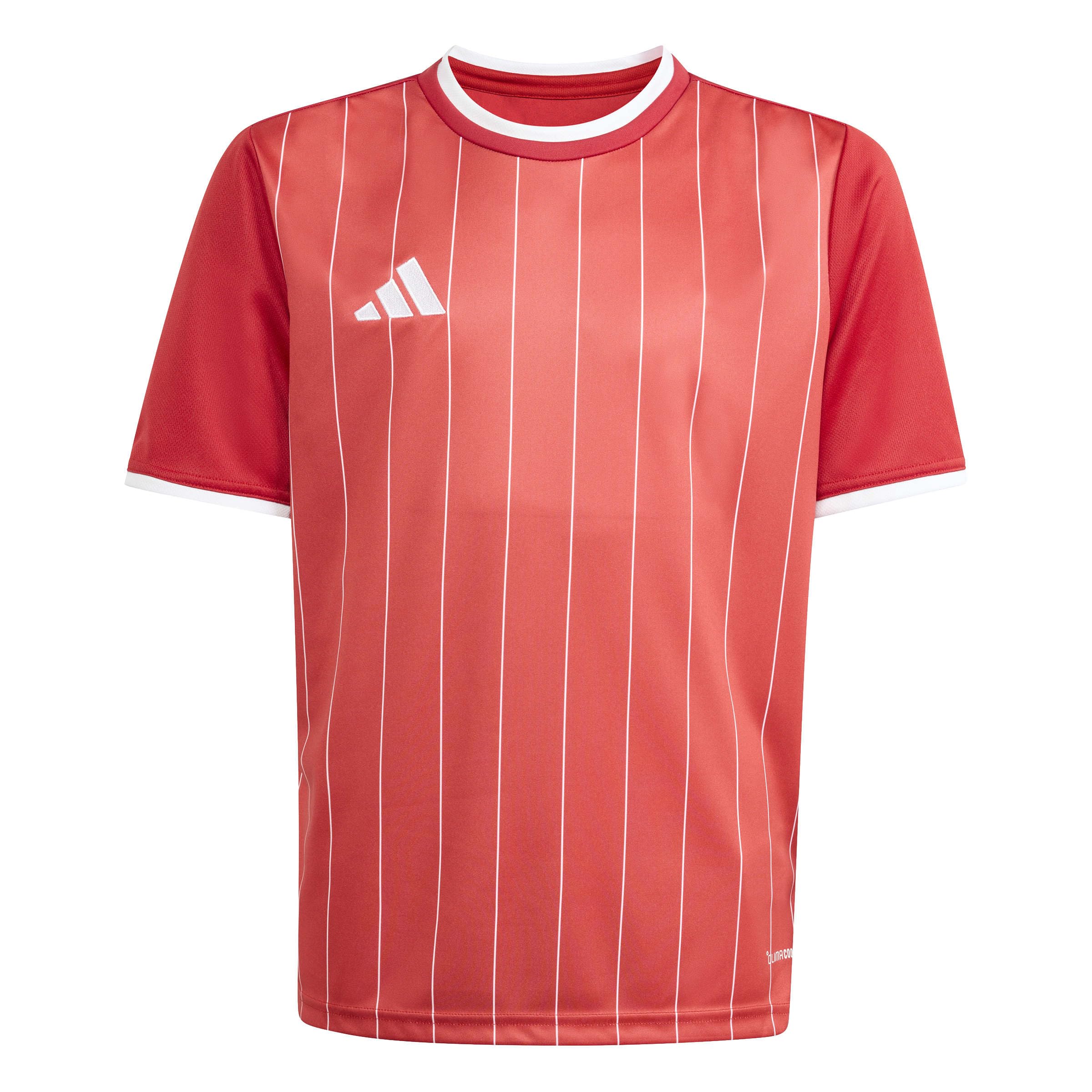 adidas Unisex Kids Entrada26 Graphic Jersey Kids Shirt, Team Power red 2/White, 11-12 Years