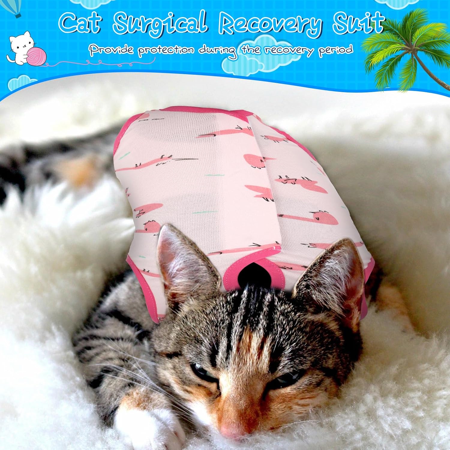 Kacctyen 6 Set Cat Recovery Suit After Surgery Female and Male Cat Kitten Surgery Suit E Collar Alternative Pajama Kitty Clothes for Spay Abdominal Skin Anti Licking(Animal,Medium)