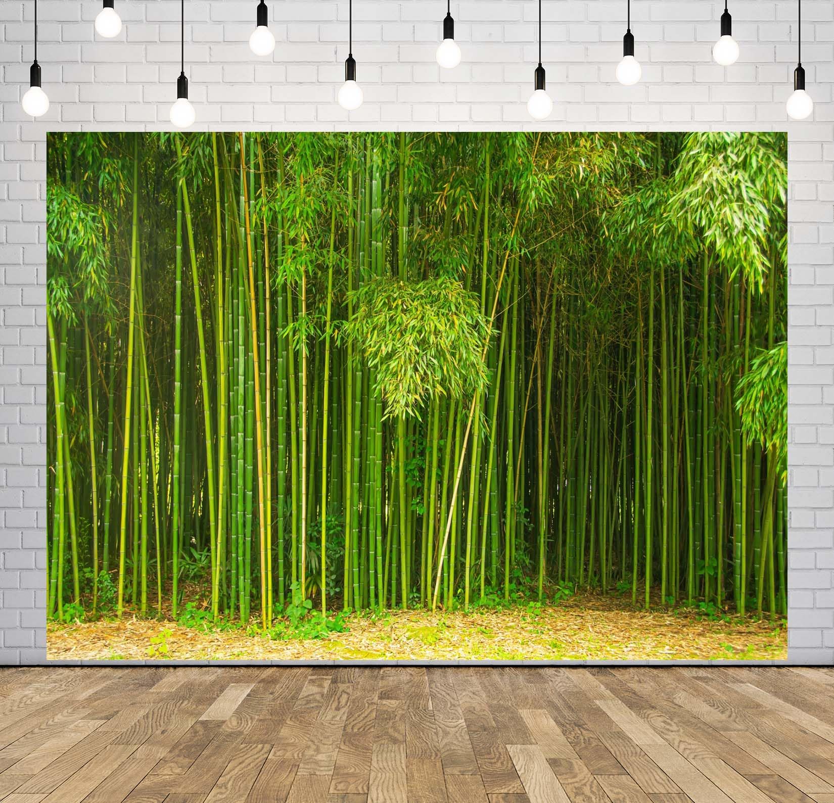Amazon.com : Loccor 7x5ft Fabric Bamboo Forest Backdrop Park Green Bamboo  Trees Forest Natural Texture Photography Background Natural Home Wallpaper  Decor Photo Props : Electronics