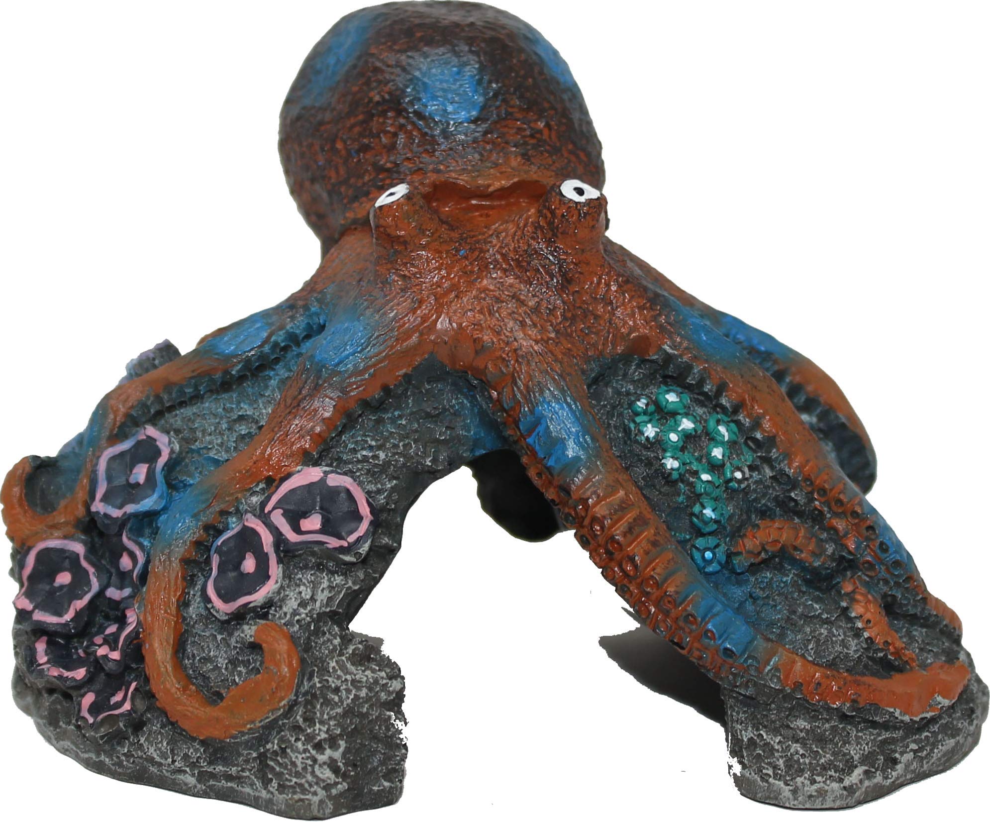 Exotic Environments Blue Ring Octopus