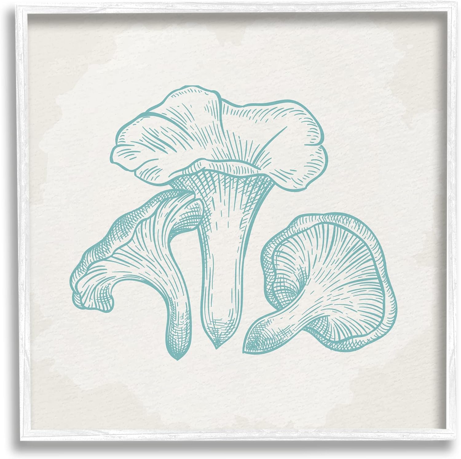 Stupell Industries Detailed Mushroom Specimen Botanicals Framed Wall Art, Design by Kim Allen