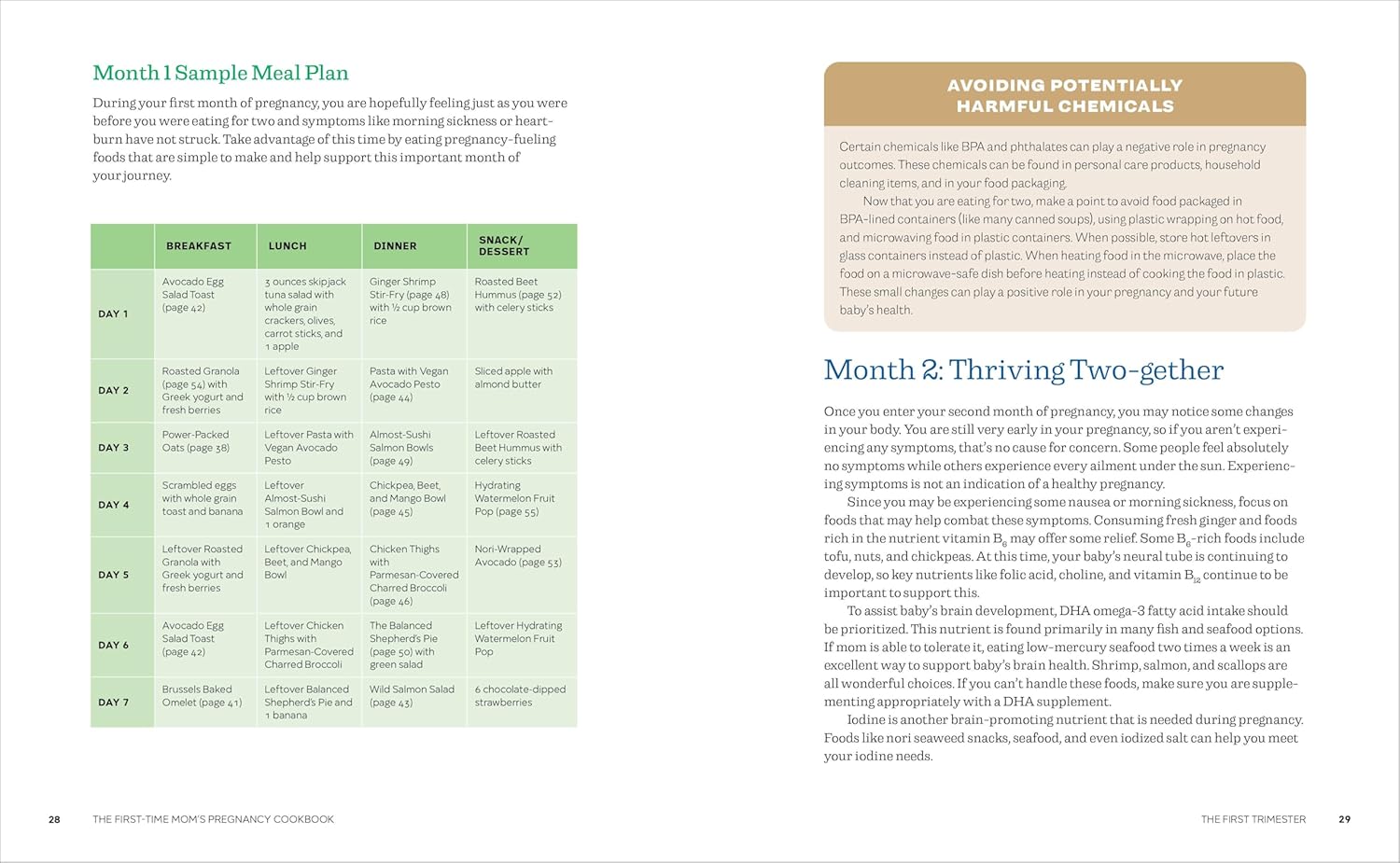 The First-Time Mom's Pregnancy Cookbook: A Nutrition Guide, Recipes, and Meal Plans for a Healthy Pregnancy image 6 of 7 1648767095