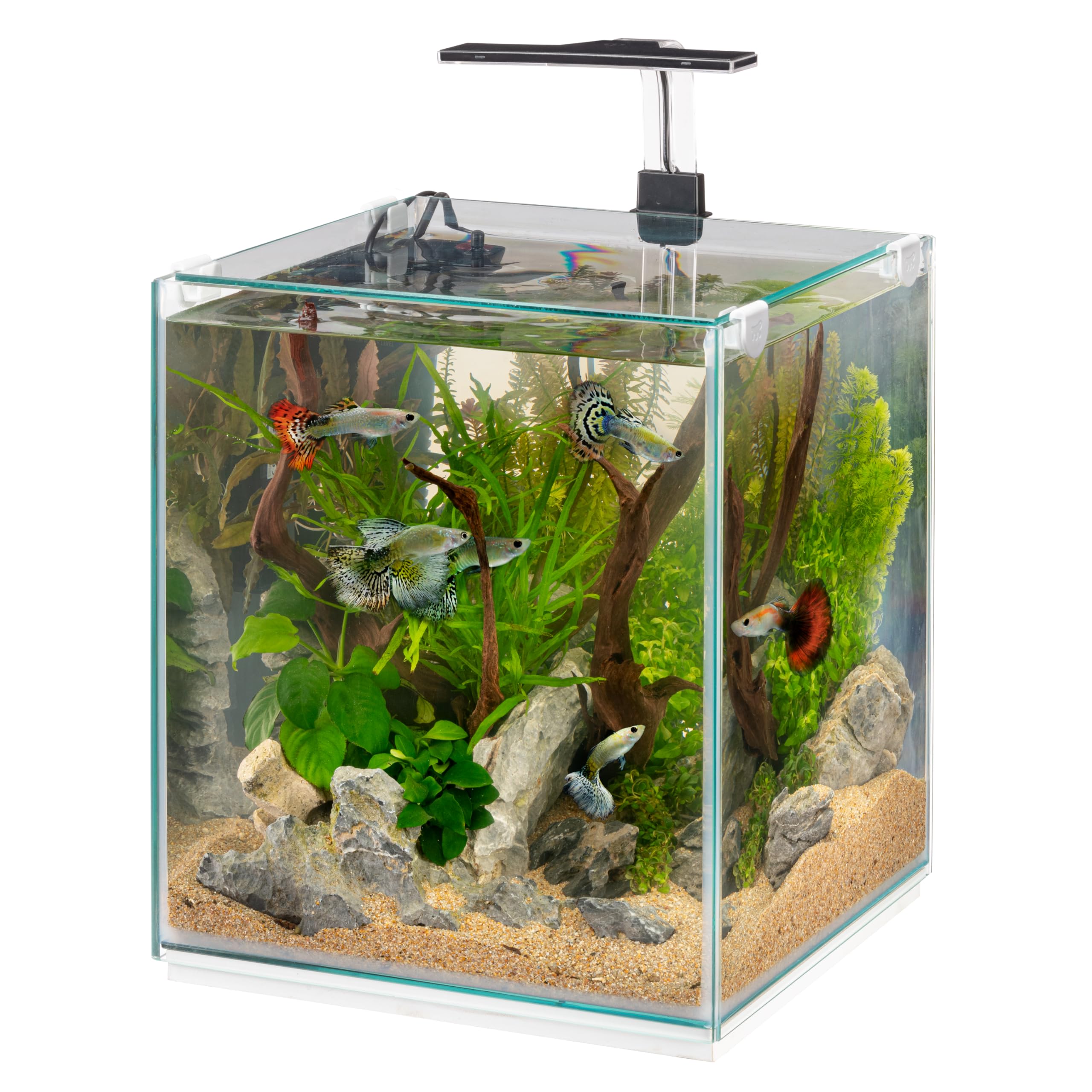 Hydor Aquarium 30L Aquarium Complet: Lampe LED à Intensité Variable, 3 Modes (Jour, Nuit et Mixte), Filtre Interne Silencieux et Chauffage, 30 x 30 x 50 cm