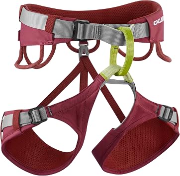 EDELRID Unisex Jayne Iv Climbing Harness pack of 1