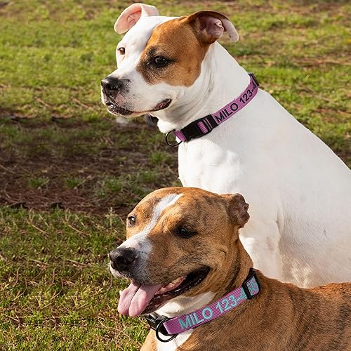 Vista 196 de Pawtitas Collar personalizado para perro, collar de perro pequeño, bordado con nombre, número de teléfono, collar de cachorro, collar ajustable