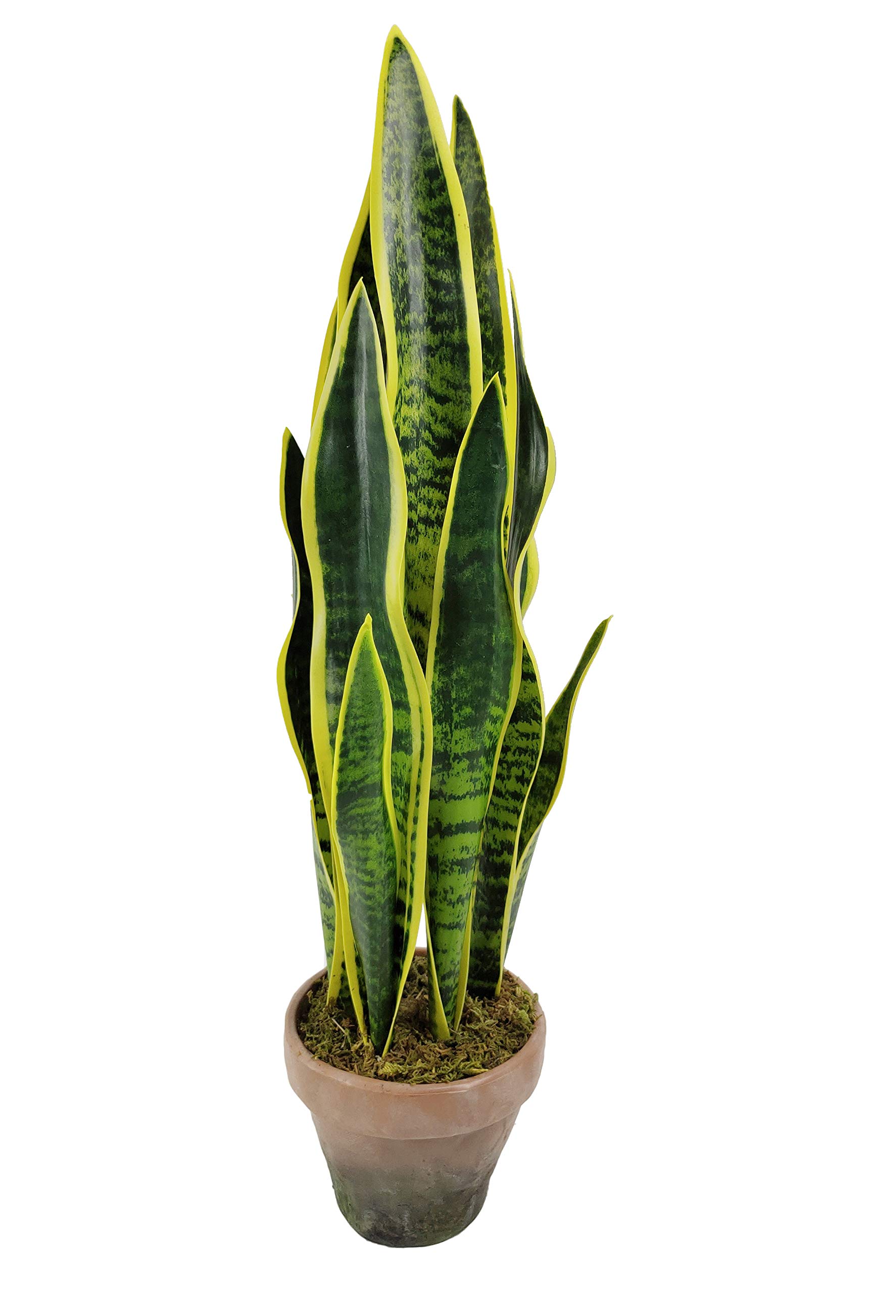 Artificial Plants London Ontario Decor For You