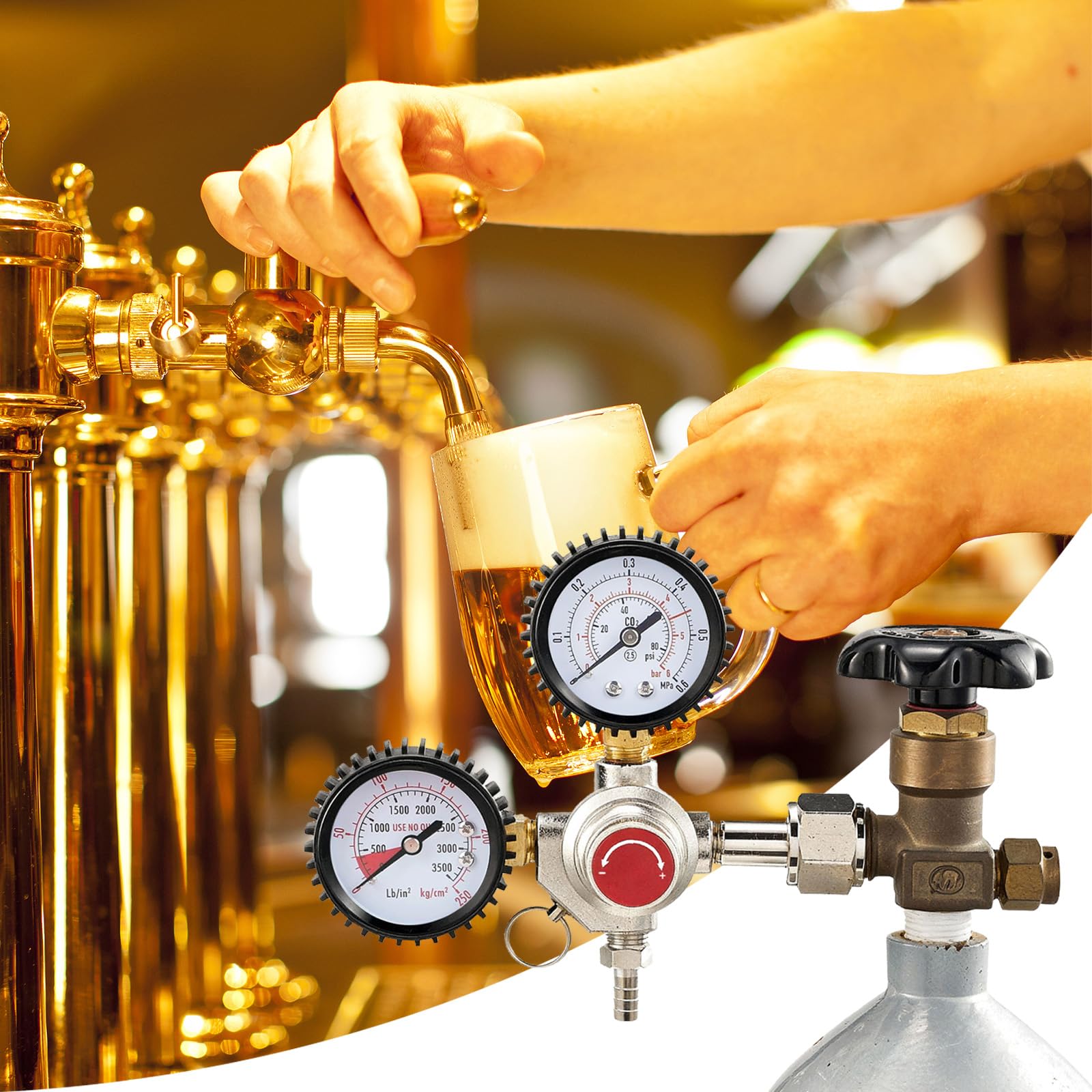 Riduttore di Pressione CO2, Sistema di Erogazione Della Birra Riduttore di Pressione con 2 Manometri Attacco W21,8 x 1/14" Regolatore di CO2 per la Produzione Della Birra Sistema di Erogazione