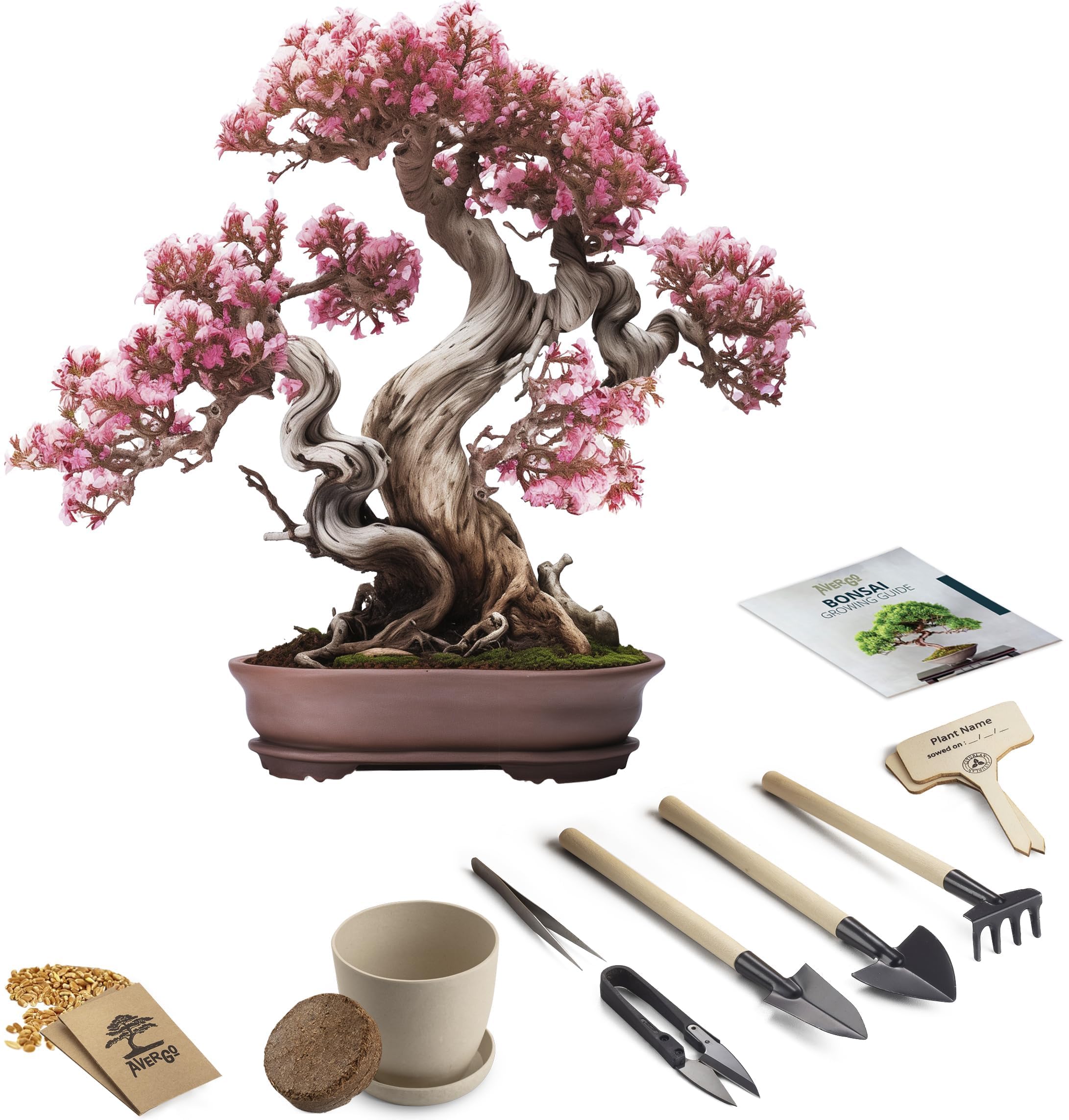 Bonsai Starter Kit – 1x Bonsai Tree | Complete Indoor Starter Kit for Growing Plants with Tools & Planters – Gardening Gifts for Women & Men