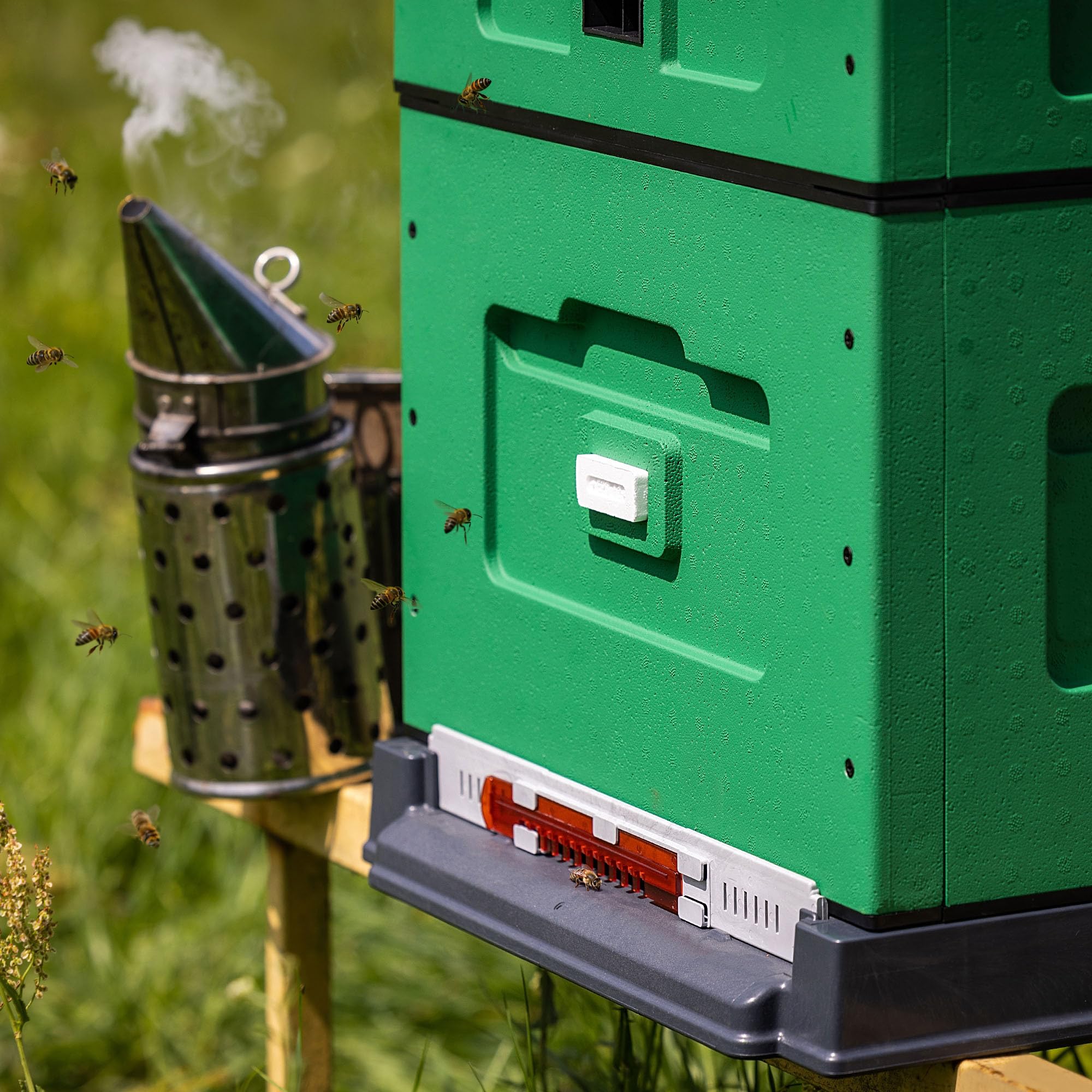 KADAX Dadant Beute 53 x 47 x 83 cm, Styroporbeute mit Hygieneboden, Magazinbeute aus Styropor, Bienenbeute, Komplettbeute für Dadant-Rähmchen (Grün)