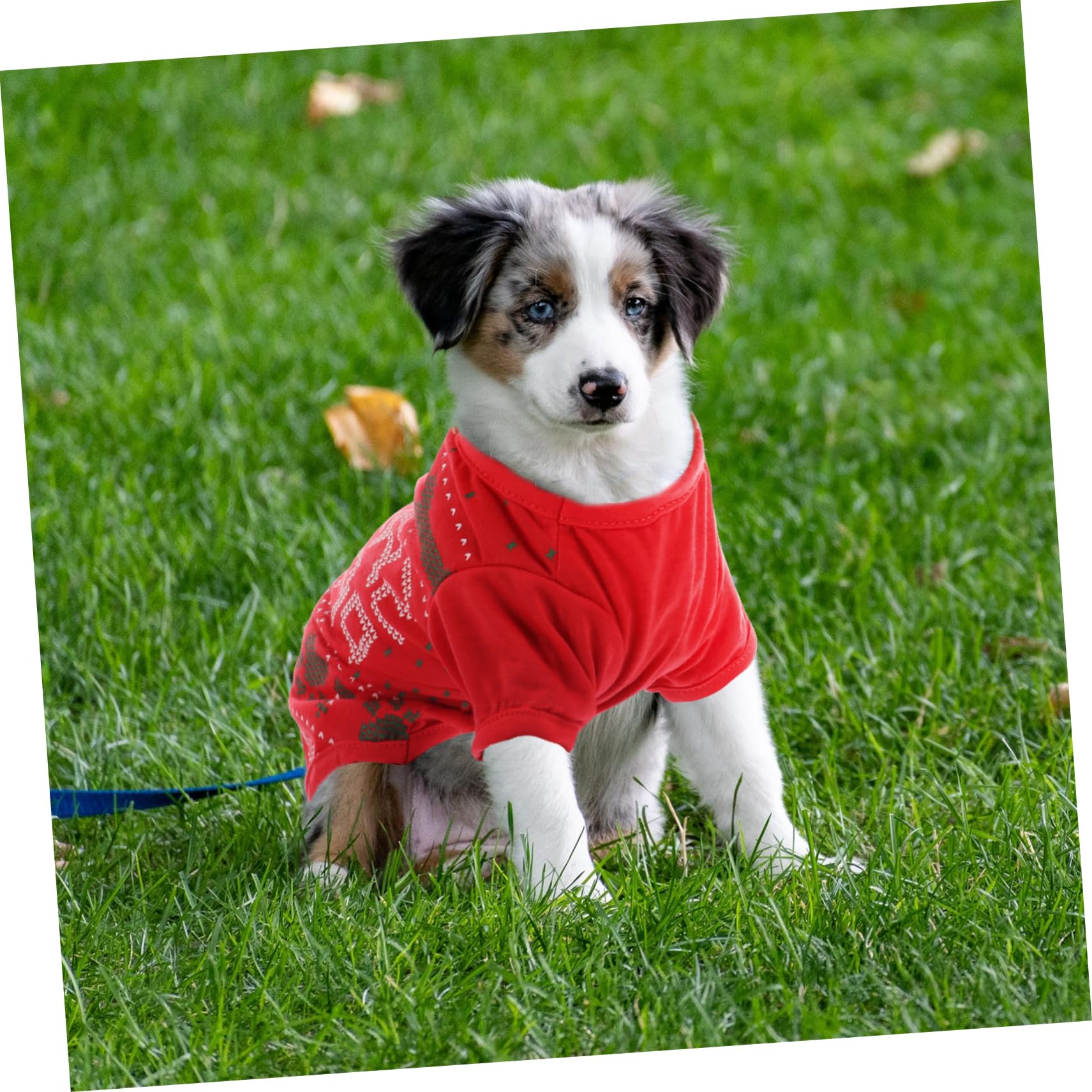 HMJGDHX 2 Pezzi di Vestiti per Cani con Motivo Natalizio T-Shirt per Animali Domestici Adorabile per Occasioni di Festa