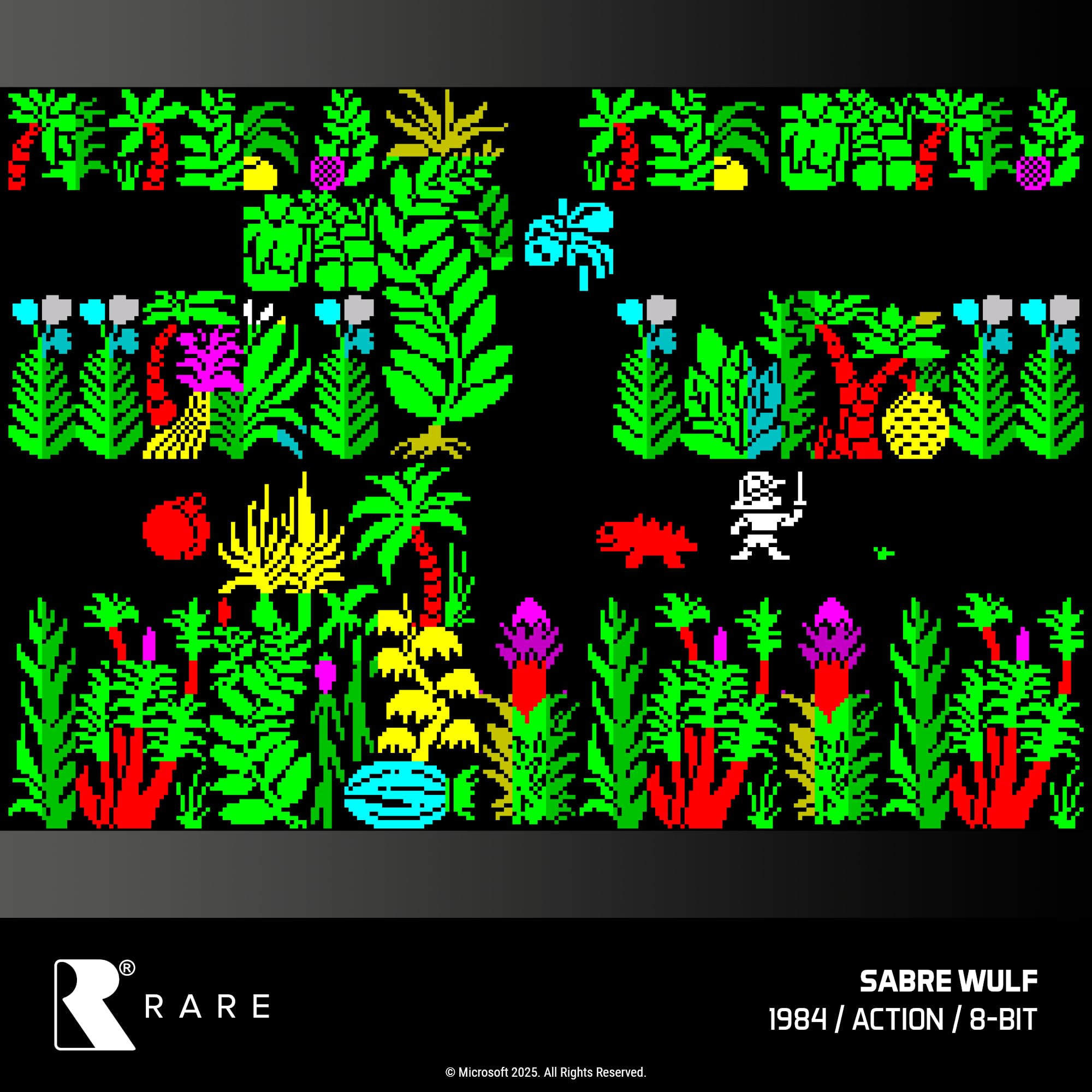 Rare Collection 1