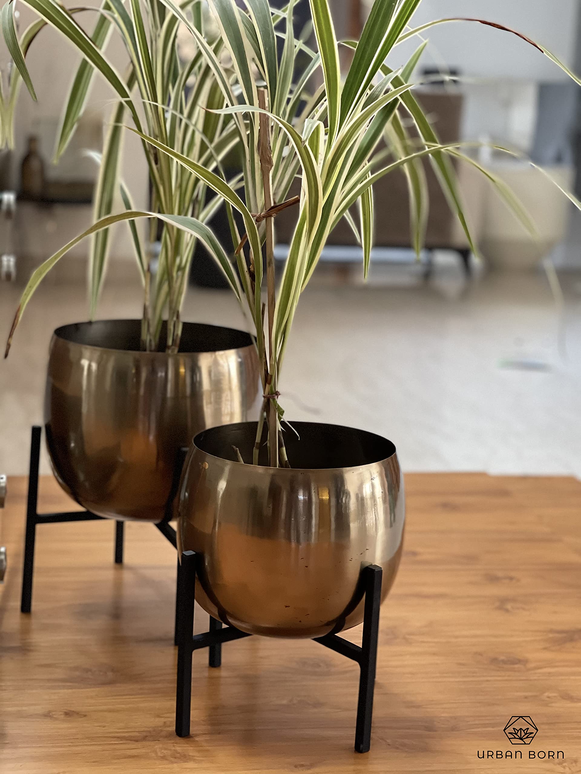 Urban Born Store Set of 2 Gold Metal pots and Metal planters for Indoor planters and planters for Living Room Decor Copper Gold Flower pots for Living Room and Indoor pots and Home décor (B0CPSZTWML) Amazon Price History, Amazon Price Tracker