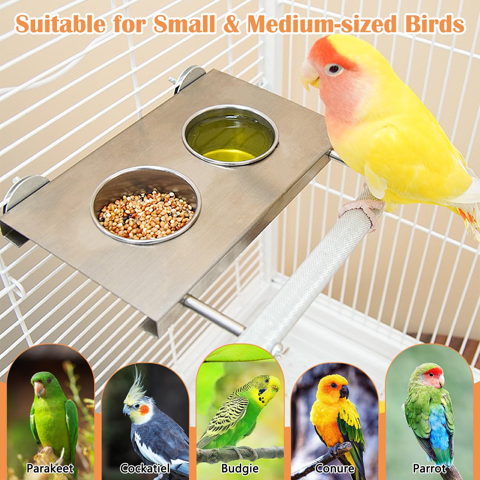 Apatal Stainless Steel Bird Feeder Hanging Parrot Feeder Bowl with Perch Stand Removable Food and Water Cups Bird Cage Accessories for Parakeet Cockatiel Budgie Conure - image 7