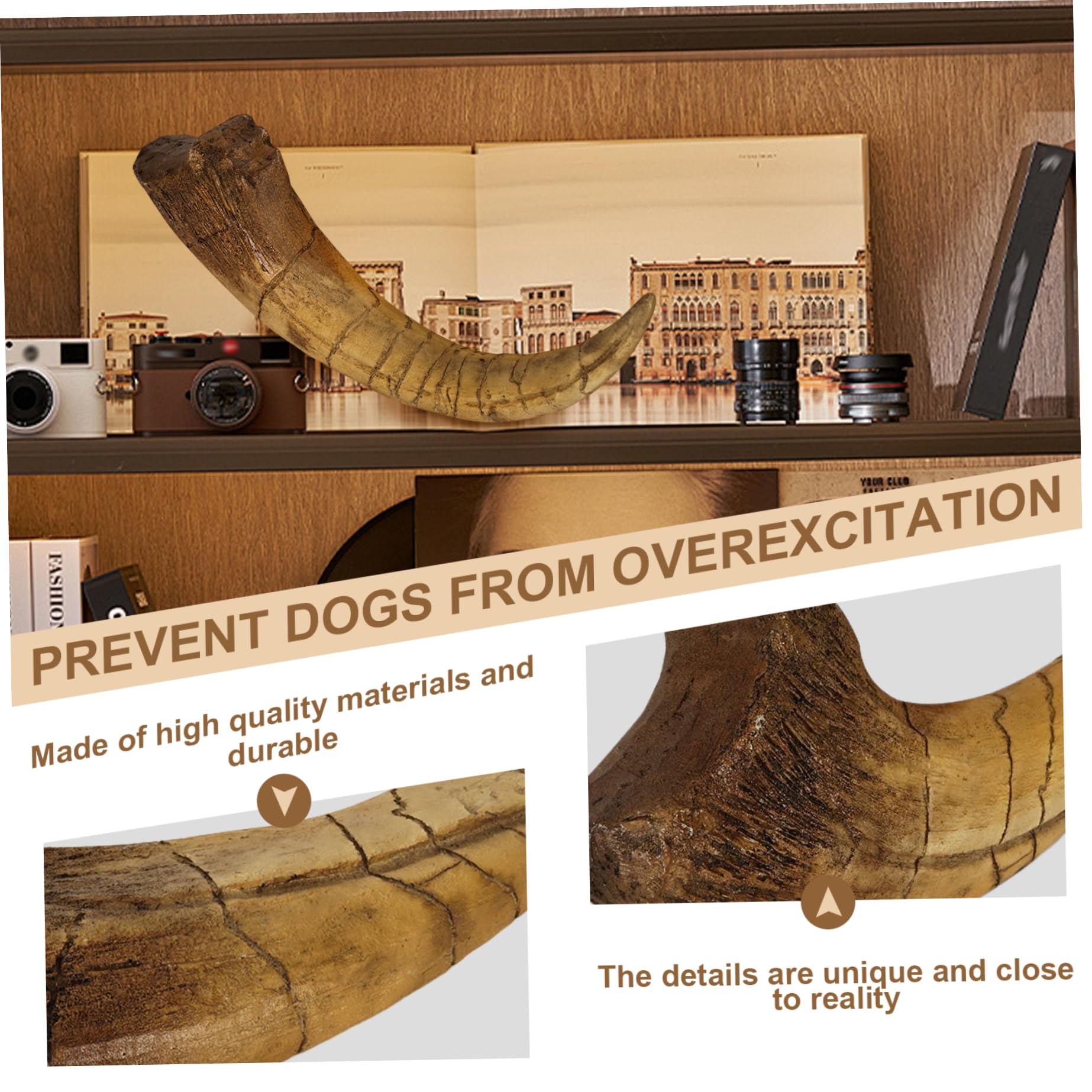 Artigli di dinosauro Artigli fossilizzati realistici Decorazione della stanza di dinosauro Regali in resina robusti e squisiti per adulti Bambini o qualsiasi appassionato, Decorazione della camera