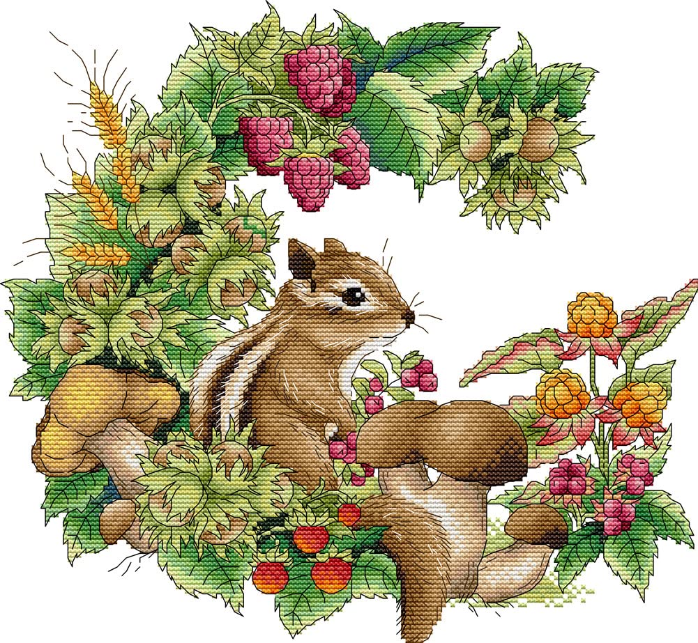 Awesocrafts Cross Stitch Stamped Kits Chipmunk Easy Patterns Cross Stitching Embroidery Needlework Kit Supplies
