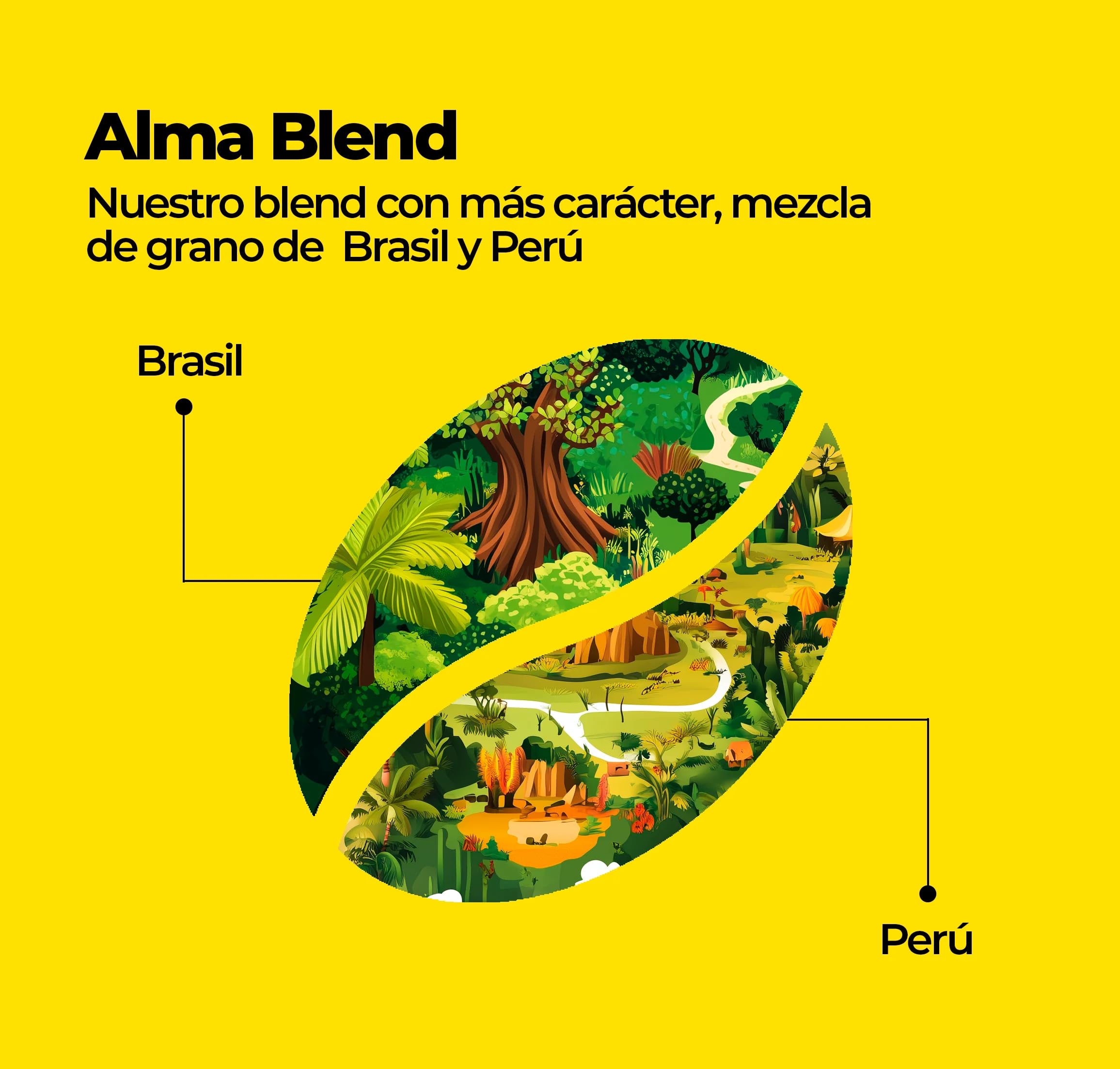 KAFI Café en Grano de Especialidad Blend Alma 2kg (4x500g) - 100% Arábica Natural - Notas de Caramelo, Nuez y Frutos Rojos - Cuerpo Equilibrado - Ideal para Cafetera Superautomática y Molinillo
