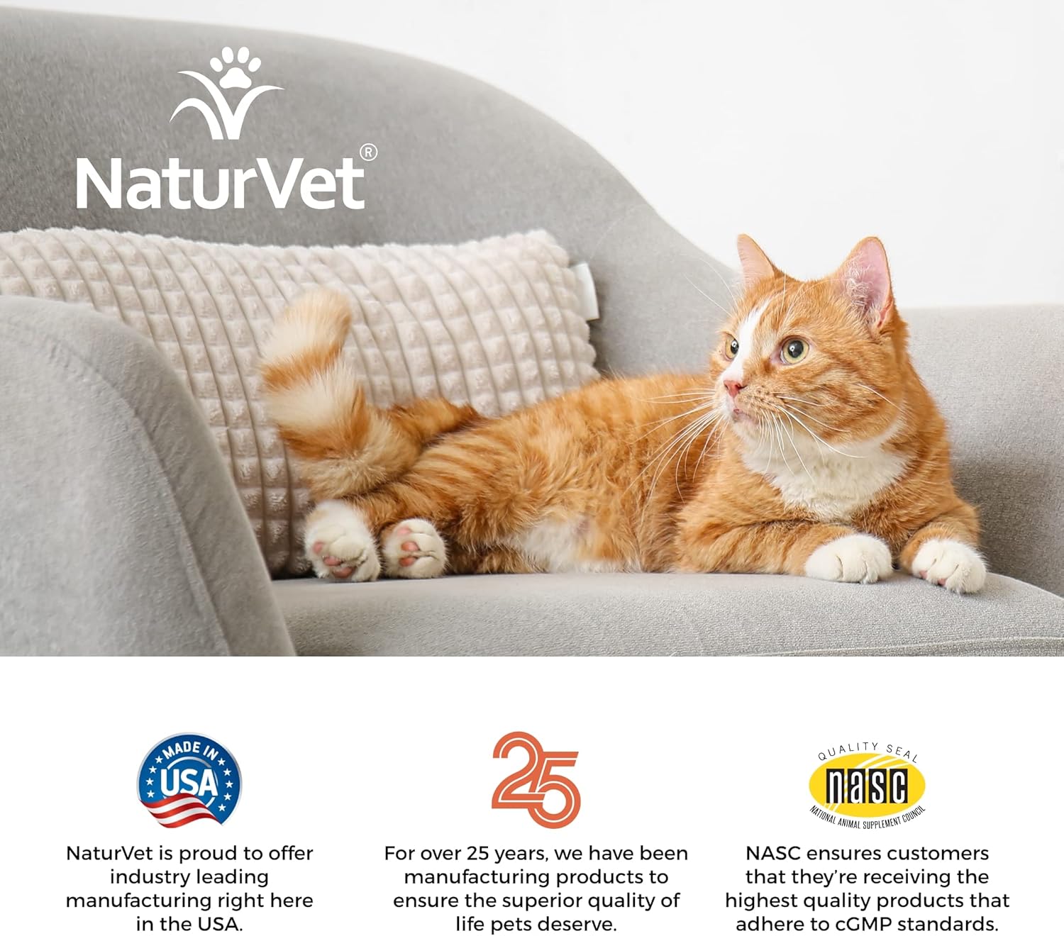 NaturVet – Digestive Enzymes For Cats Plus Probiotics – 60 Soft Chews – Helps Support Diet Change & A Healthy Digestive Tract – Aids in the Absorption of Vitamins & Minerals – 30 Day Supply : Pet Supplies
