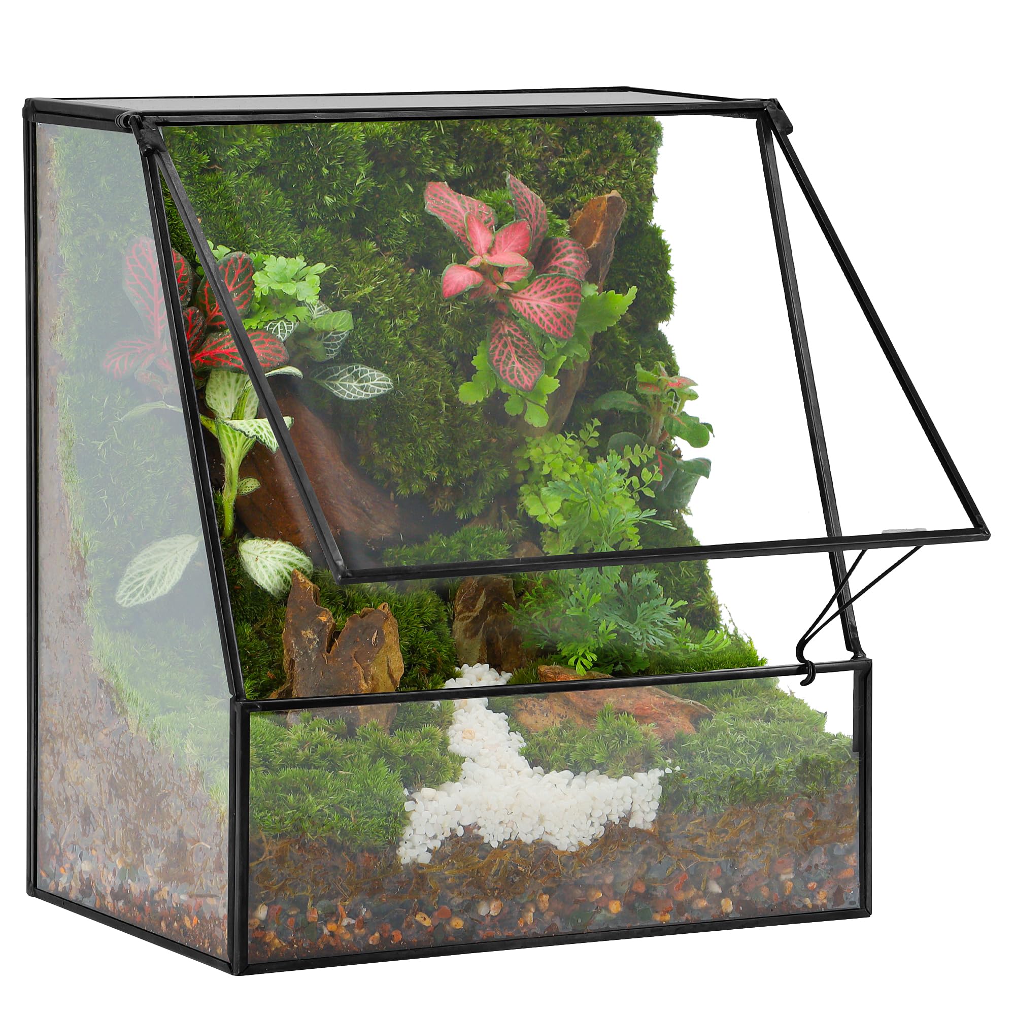 Large Glass Planter Terrariums with Door, Handmade Glass Greenhouse Indoor Geometric Planter Terrarium Tabletop Centerpiece Display Box for Moss, Succulent, Trapezoid, Black (Terrarium ONLY)