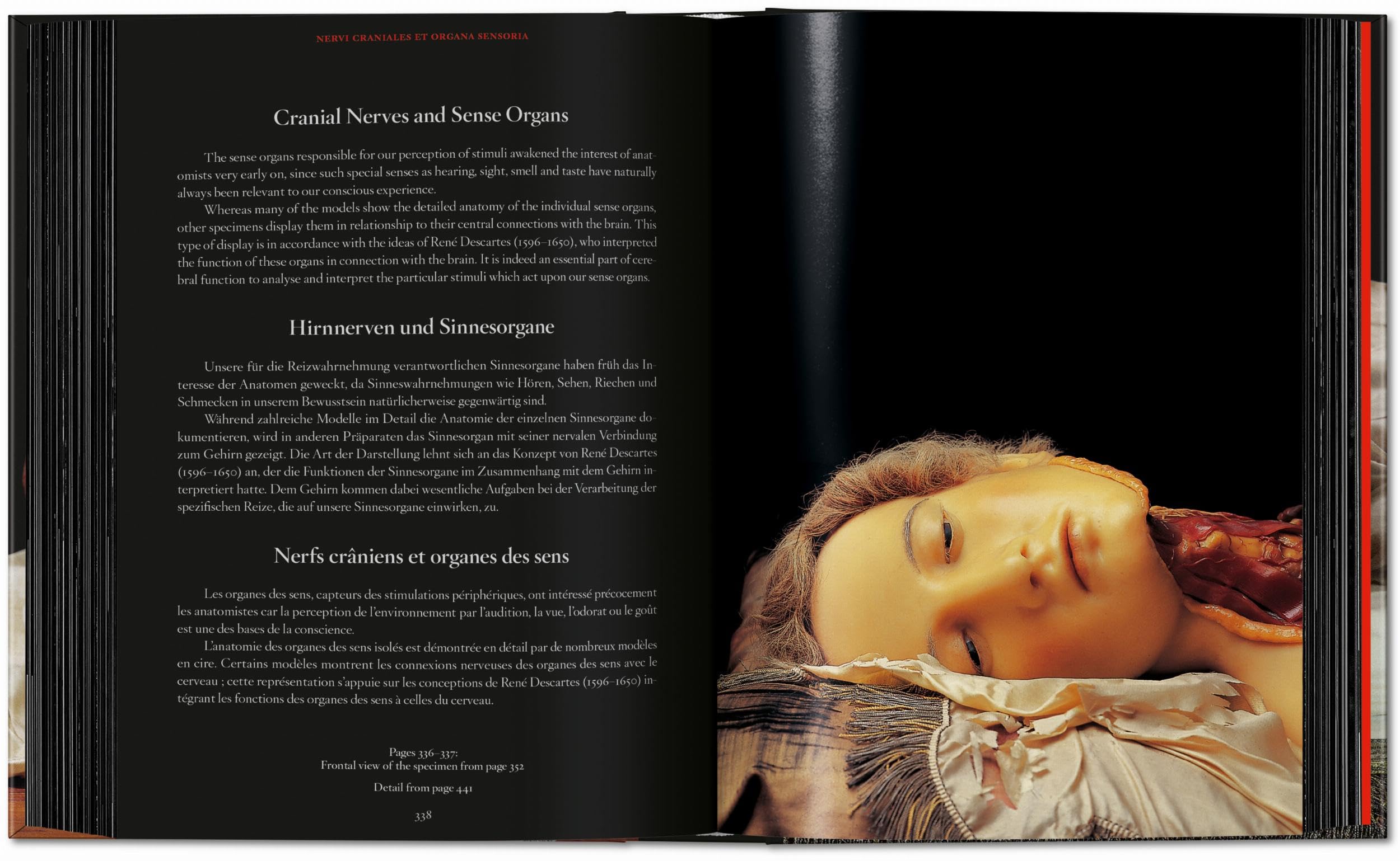 Anatomical Waxes. 45th Ed. (45th Edition)
