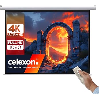 celexon Basic Motor Screen 135 Inches 240 x 240 cm 11