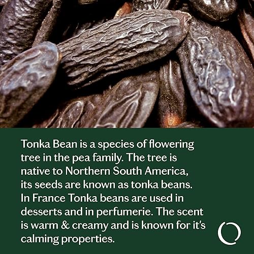 Miniatura 6 de LIVEDROPS 247 Well-Feeling Sleep Good - Mezcla de aceites esenciales  Aroma reparador de lavanda, rosa y haba tonka  Fabricado en Francia  puro y