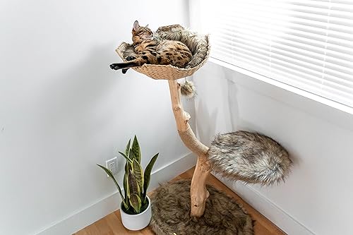 Miniatura 6 de MAU LIFESTYLE - Torre de árbol de madera para gatos, moderno condominio para gatos de una sola rama, árbol de madera para gatos, escalada para