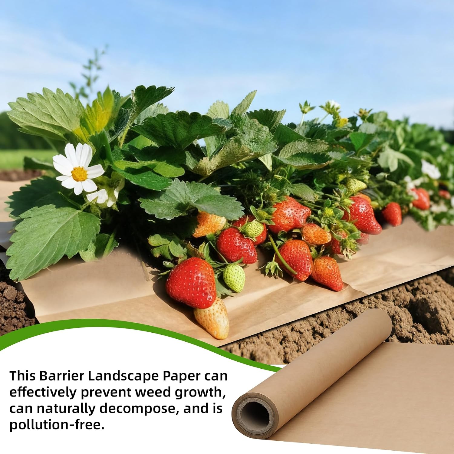 4 x 100Ft Biodegradable Weed Barrier, Garden Paper Weed Barrier, Heavy Duty Garden Paper Biodegradable, Used as Vegetable Growth, Outdoor Garden Lawn a Weed Control Barriers