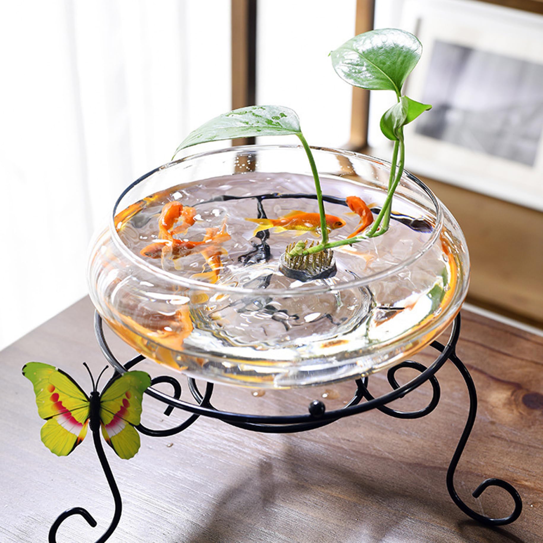 Lotus Planter, 6 Inch Round Flower Bowl, Clear Water Lily Bowl, Decorative Glass for Succulent Hydroponic Plant Fish Home Decor, NOT Stand