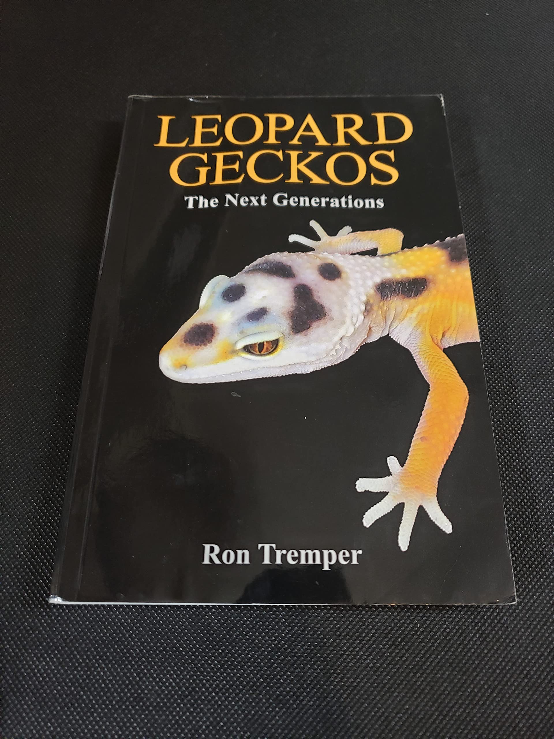 洋書　LEOPARD GECKOS: The Next Generations 81bmvTZEsvL.jpg