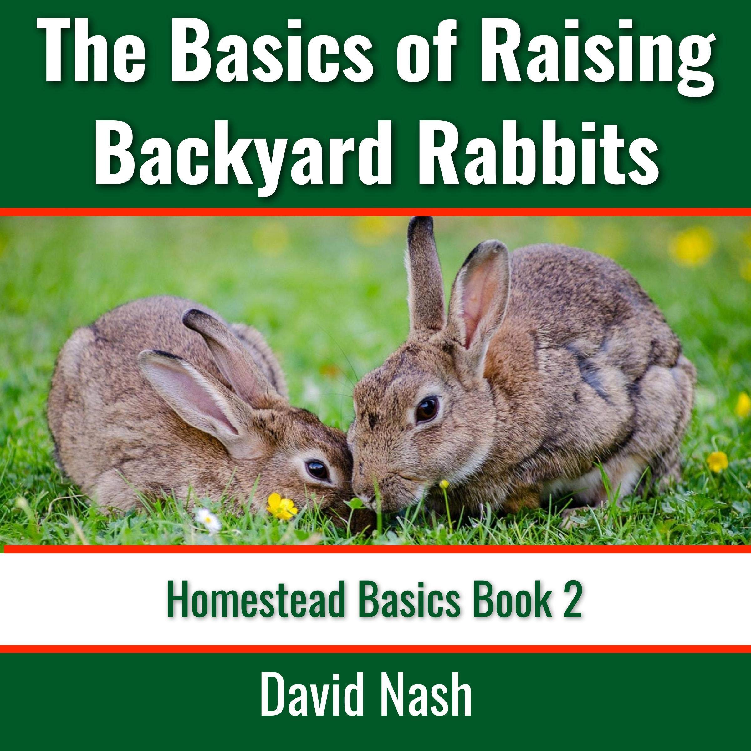 Cover art for The Basics of Raising Backyard Rabbits: Beginner's Guide to Raising, Feeding, Breeding, and Butchering Rabbits