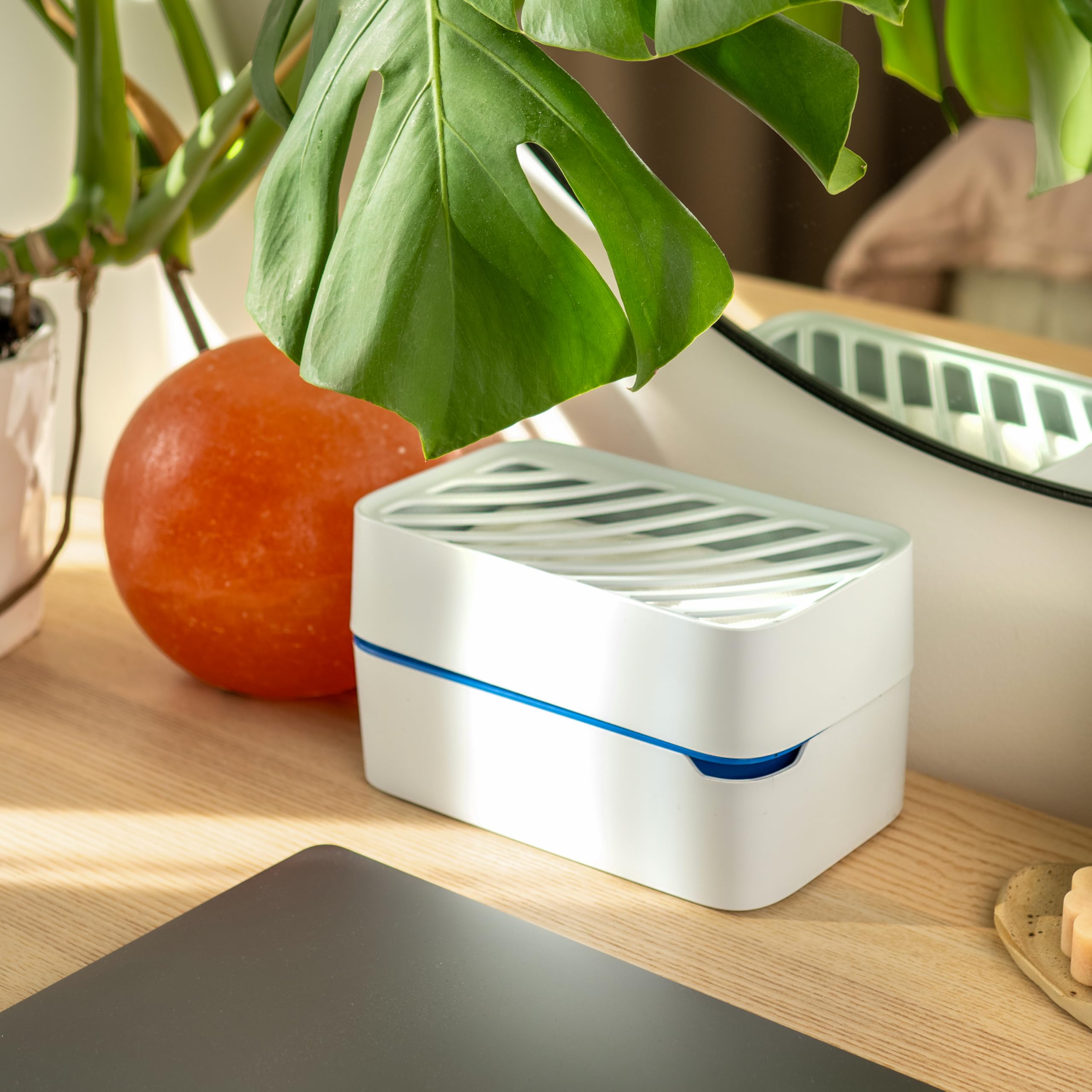 Wessper osuszacz powietrza ze wskaźnikiem poziomu napełnienia, 500 g, dehumidifier, usuwa wilgoć w domu, grzyby i grzyby, osuszacz powietrza z chlorkiem wapnia