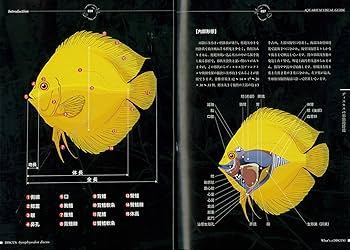 Amazon.co.jp: ディスカス完全飼育 (アクアリウム・ビジュアル