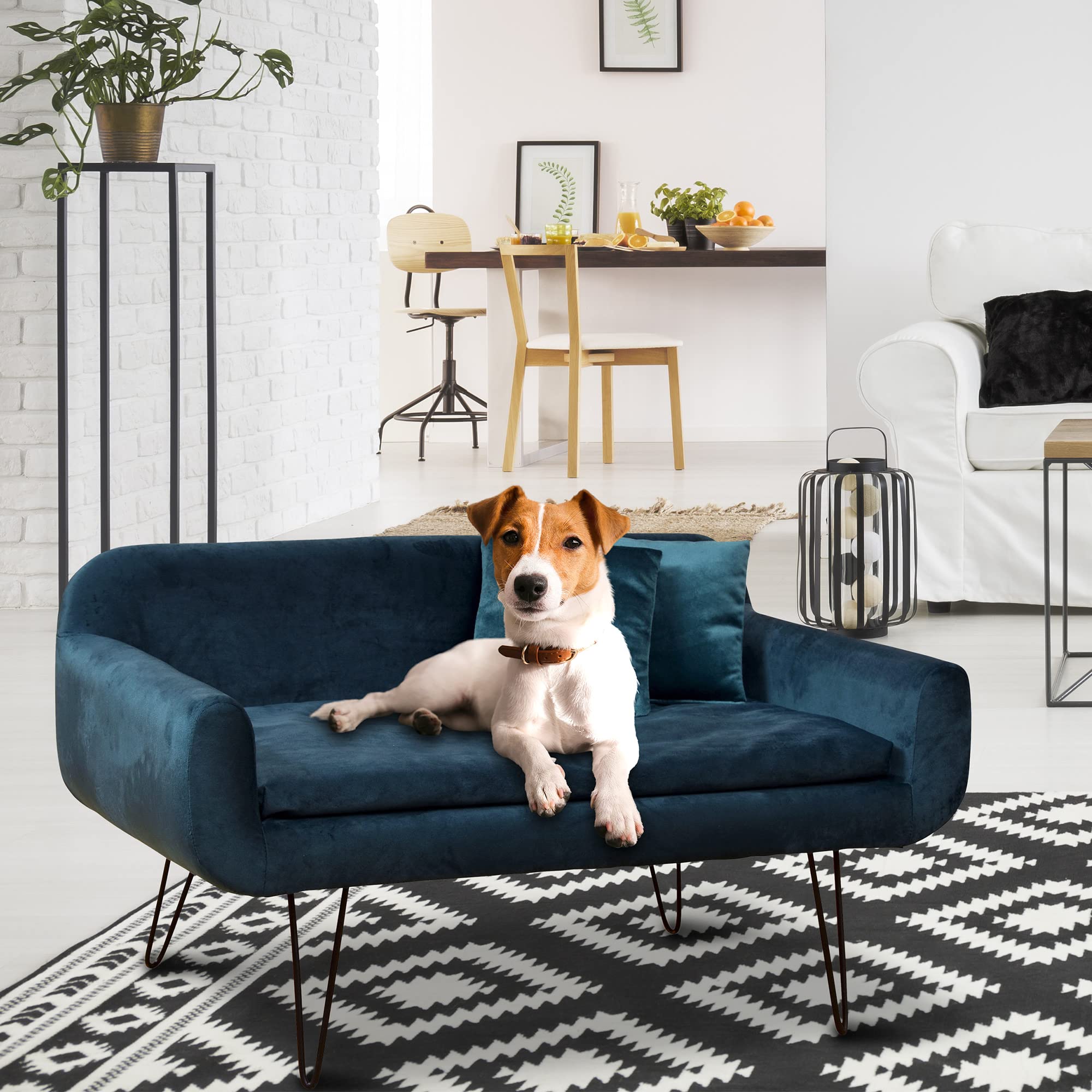 Rohrschneider Deluxe Hundesofa San Diego in Petrol, Samtbezug & Holzgestell
