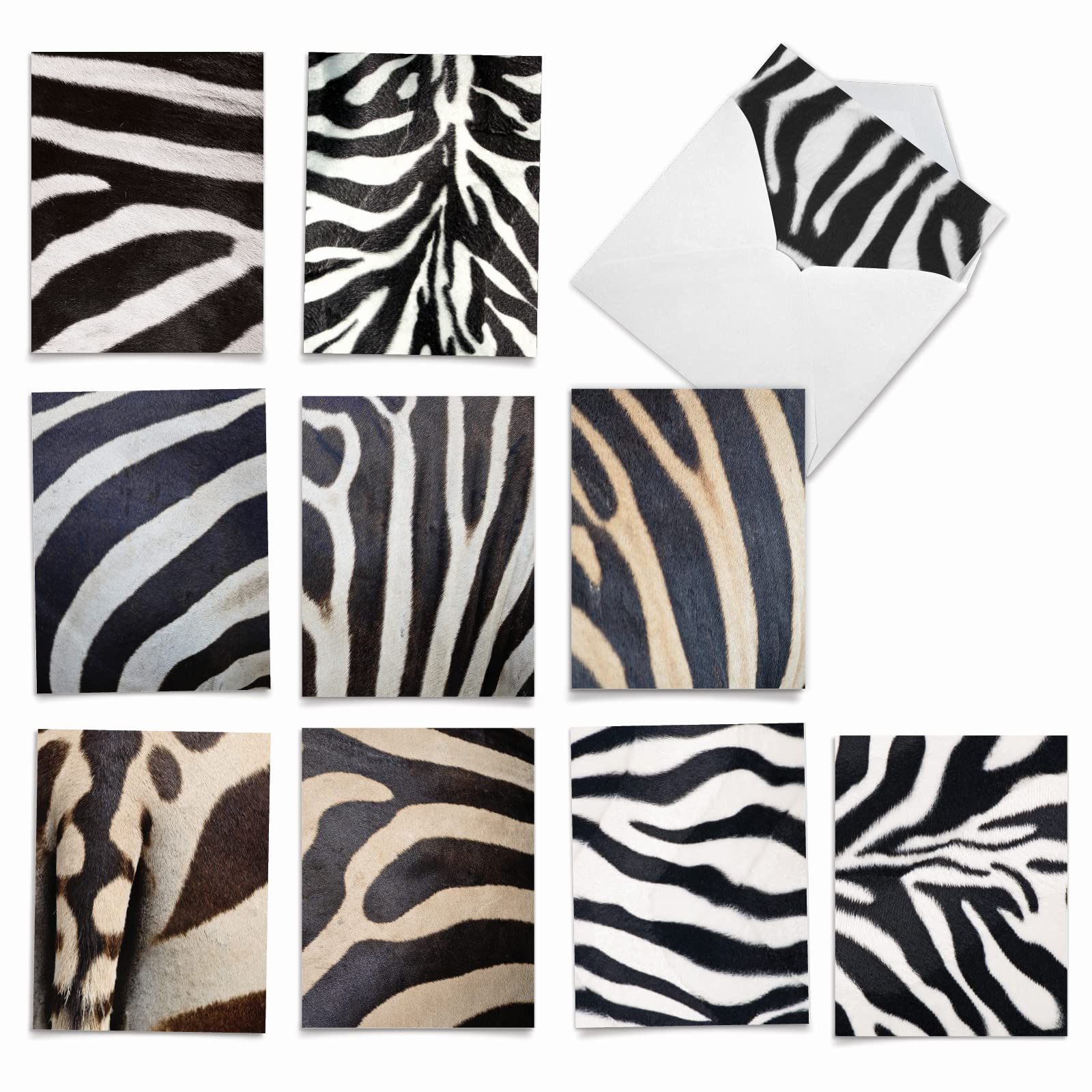 The Best Card Company - 10 Boxed Thank You Cards w/Envelopes, Animal Appreciation Stationery Set for Men and Women - Zebra Zeal M3032