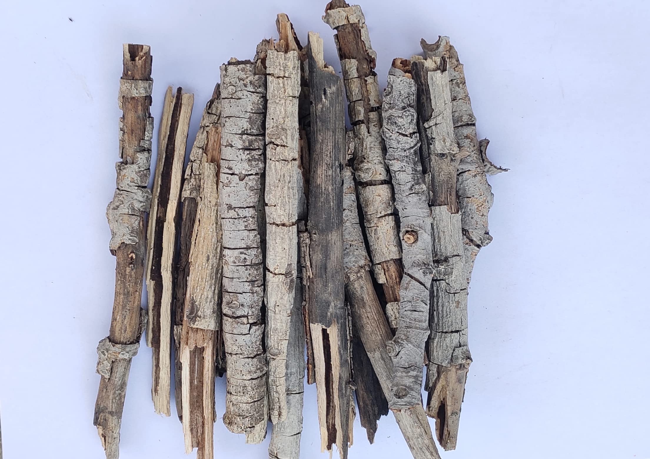 See full amazon price history chart for RUKDA Banyan Tree Wood (Bargad ki lakdiya) for Puja and Havan - 250 gm RUKDA Banyan Tree Wood (Bargad ki lakdiya) for Puja and Havan - 250 gm (B09WL6NGJF) Amazon Price History, Amazon Price Tracker