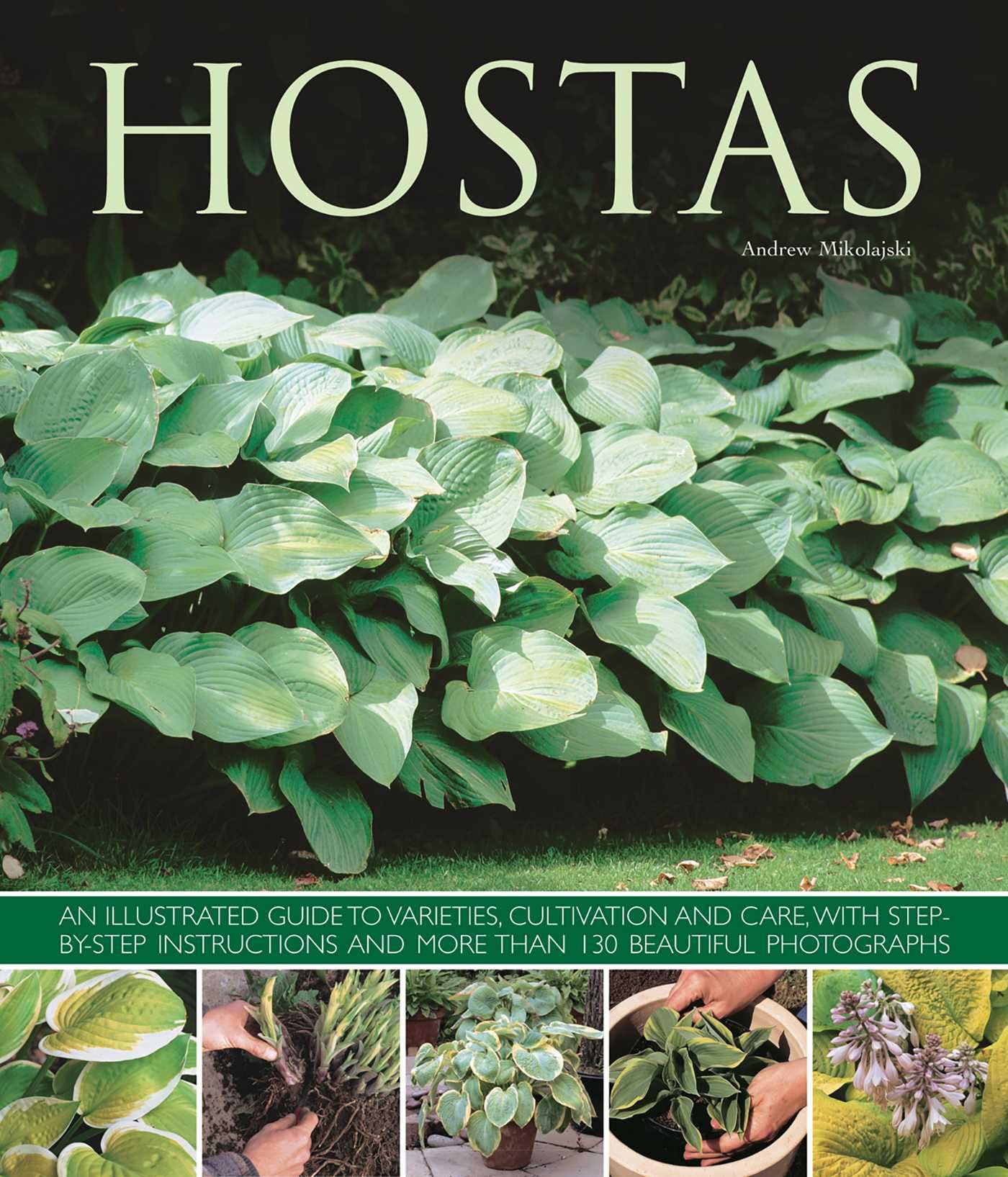 Hostas: An Illustrated Guide to Varieties, Cultivation and Care. Mikolajski**