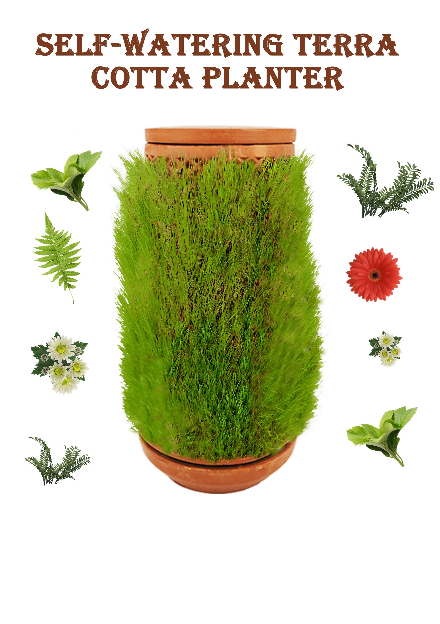 Selfwatering Terra Cotta Planter. Terra planter, Terraplanter that