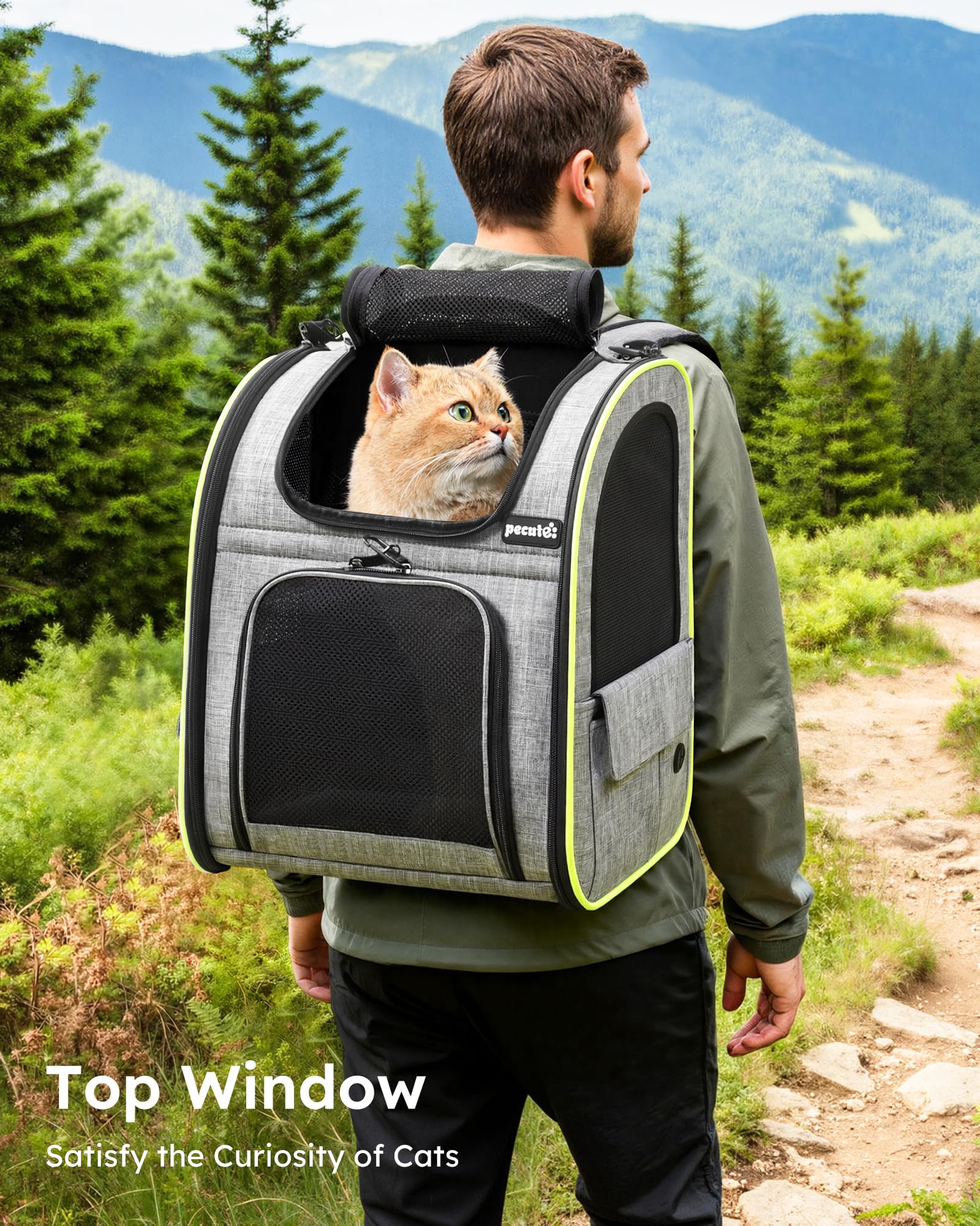 Pecute Zaino per Cani Gatti Estensibile, Cuccia Portatile, Trasportino Estraibile Indicato per Viaggi Sia Lunghi Che Corti, Grigio