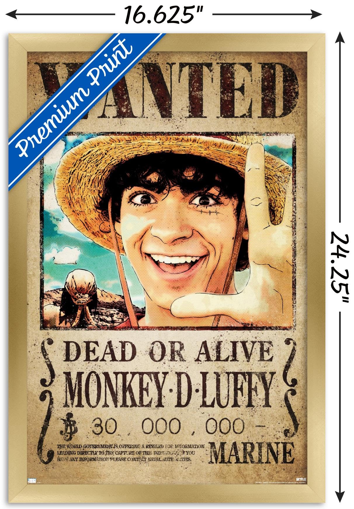 ワンピース トランプ WANTED POSTER FILM GOLD 手配書 One Piece
