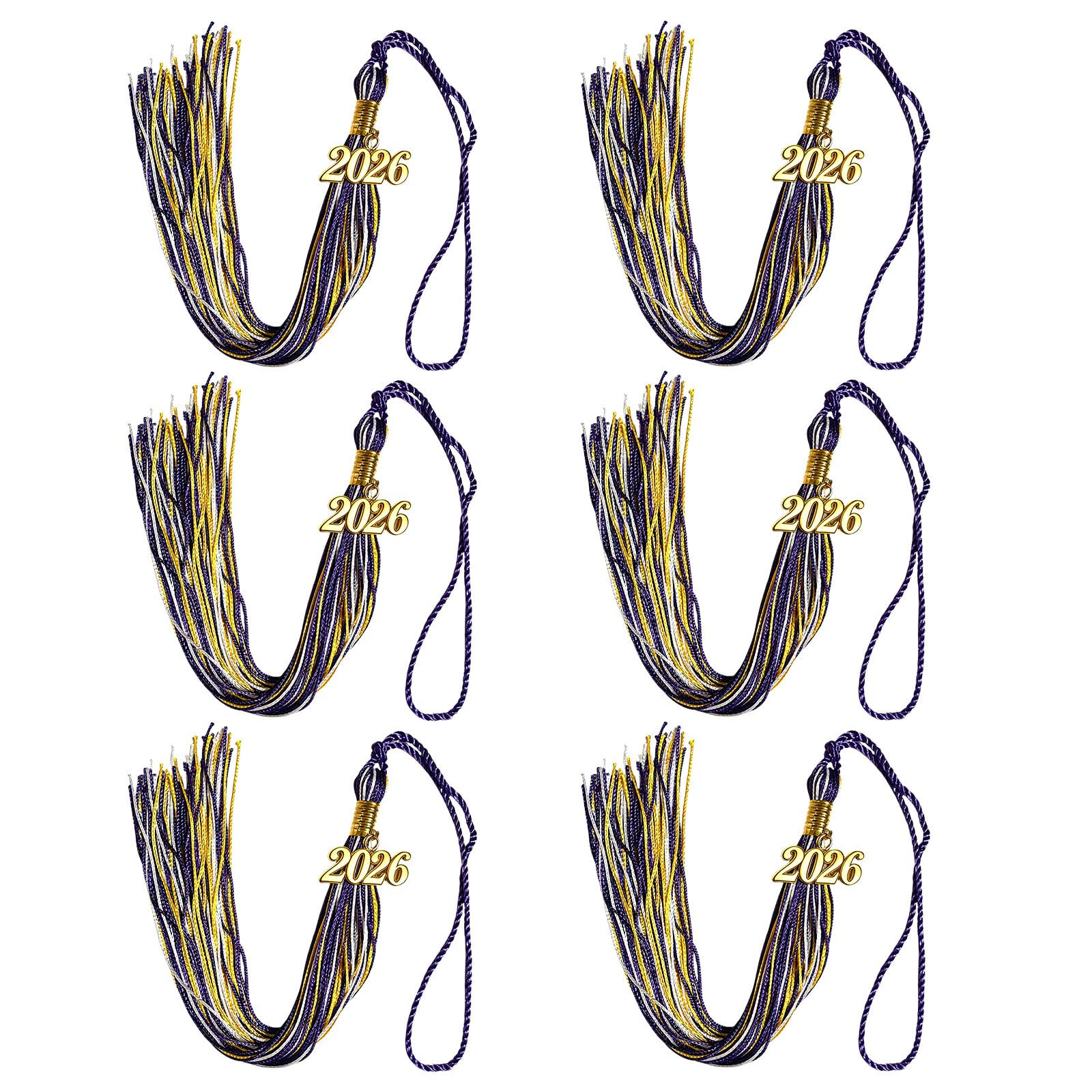 alloneslife Graduation Tassels 2026 Year Identifier Easy Installation for Cap and Craft Projects Polyester Cap Tassels