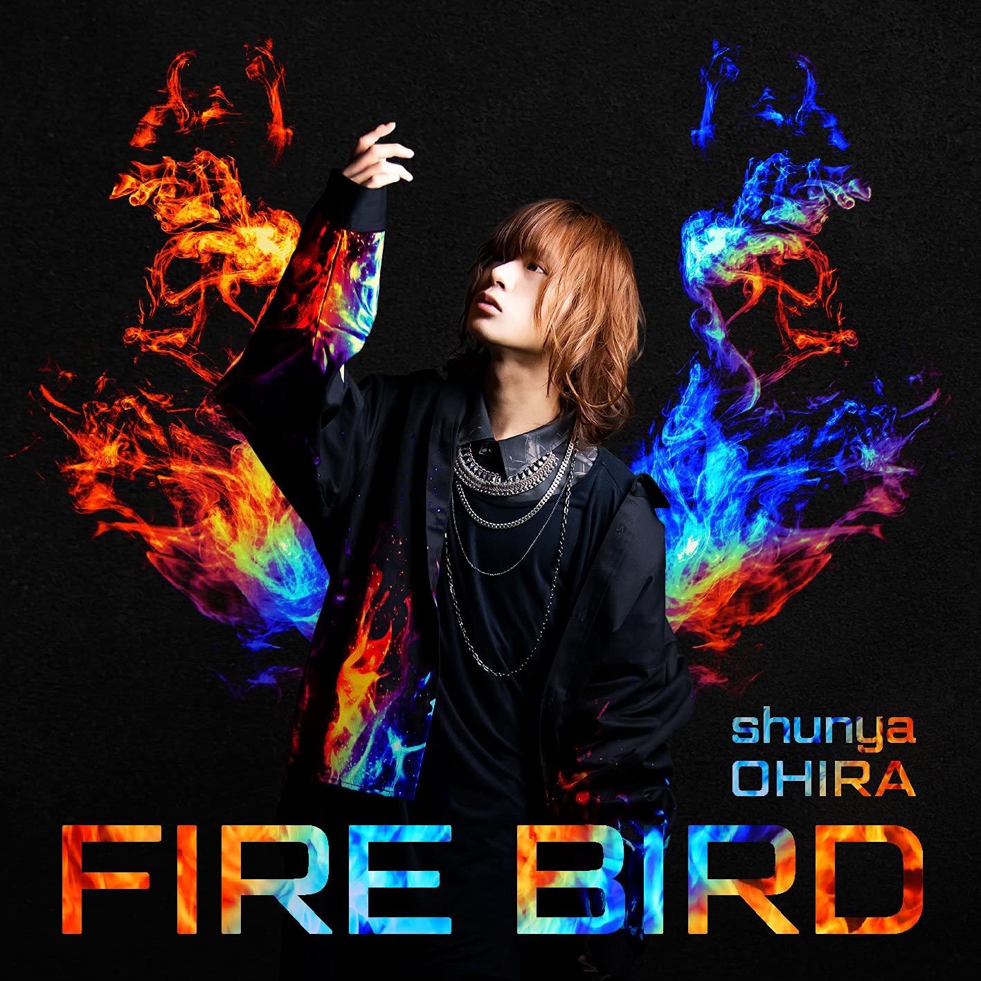Fire Bird（初回限定盤） ,カテゴリ 【公式通販】