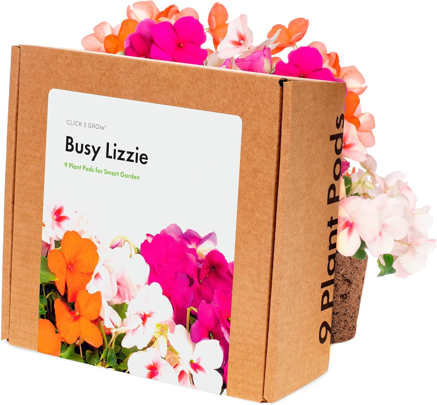 Click And Grow Ricarica Smart Garden - 3 Bustine Busy Lizzie - Foto 6