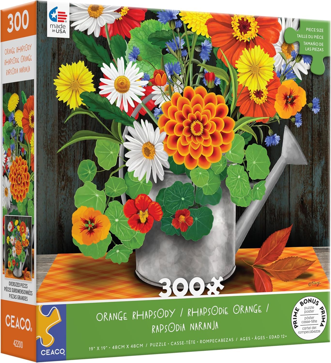CeacoOrange Rhapsody - 300 Piece Jigsaw Puzzle