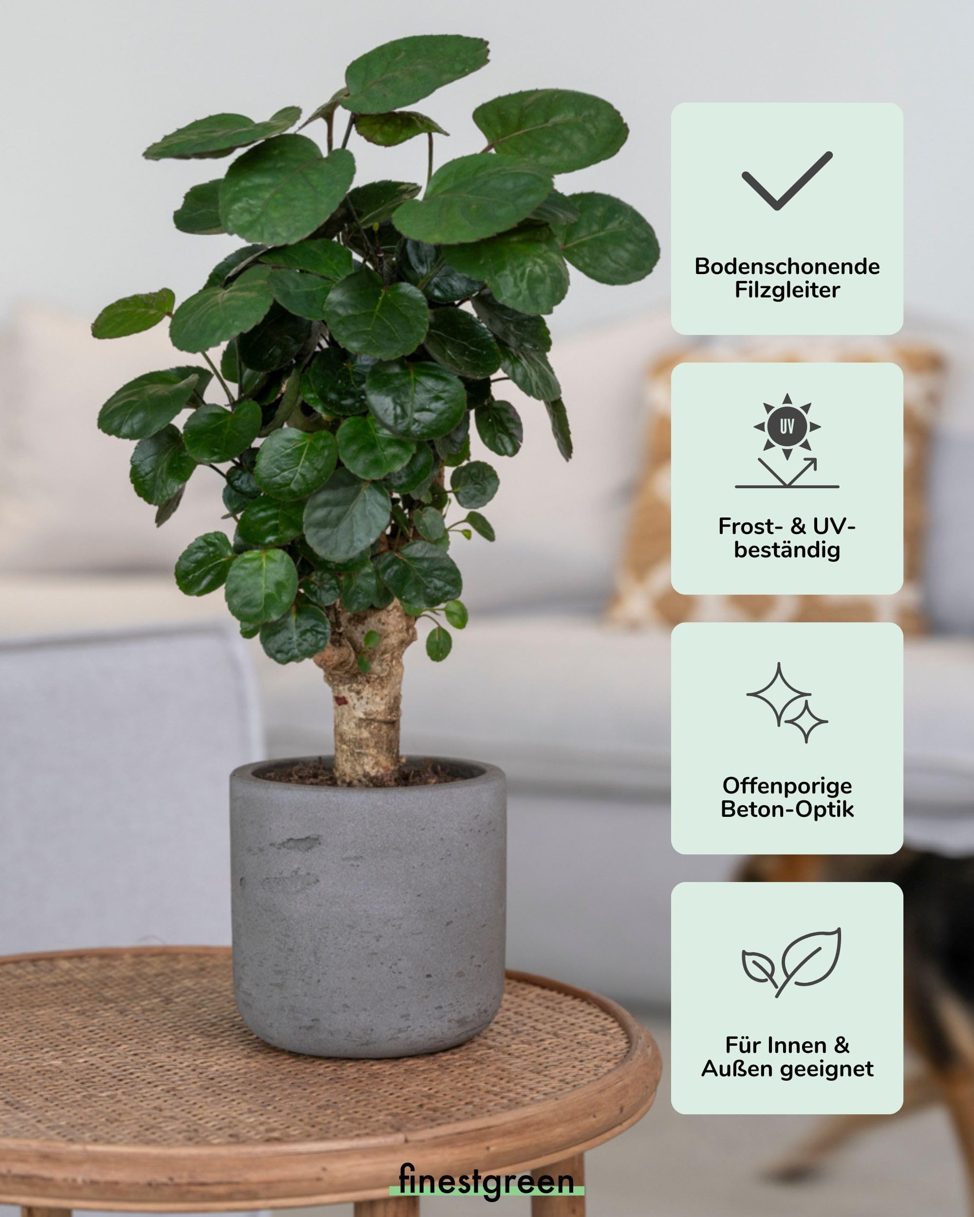 Charlie Pflanzgefäß Mocha XL | Blumentopf für Innen- und Außenbereich, Frostfest, UV-Beständig, wasserdicht | Blumenkübel Betonoptik